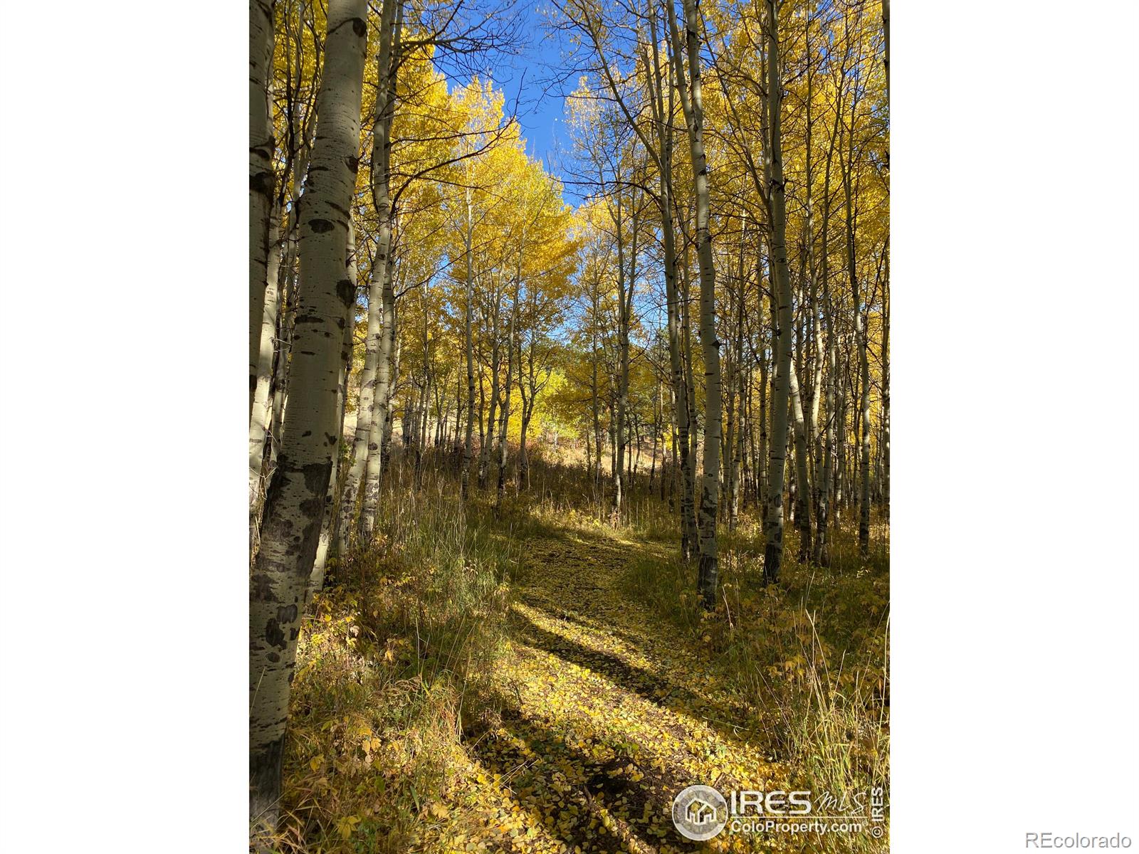 MLS Image #39 for 178  hazelwood drive,nederland, Colorado