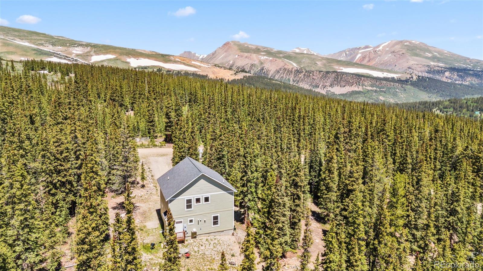 MLS Image #10 for 74  rialto road,fairplay, Colorado