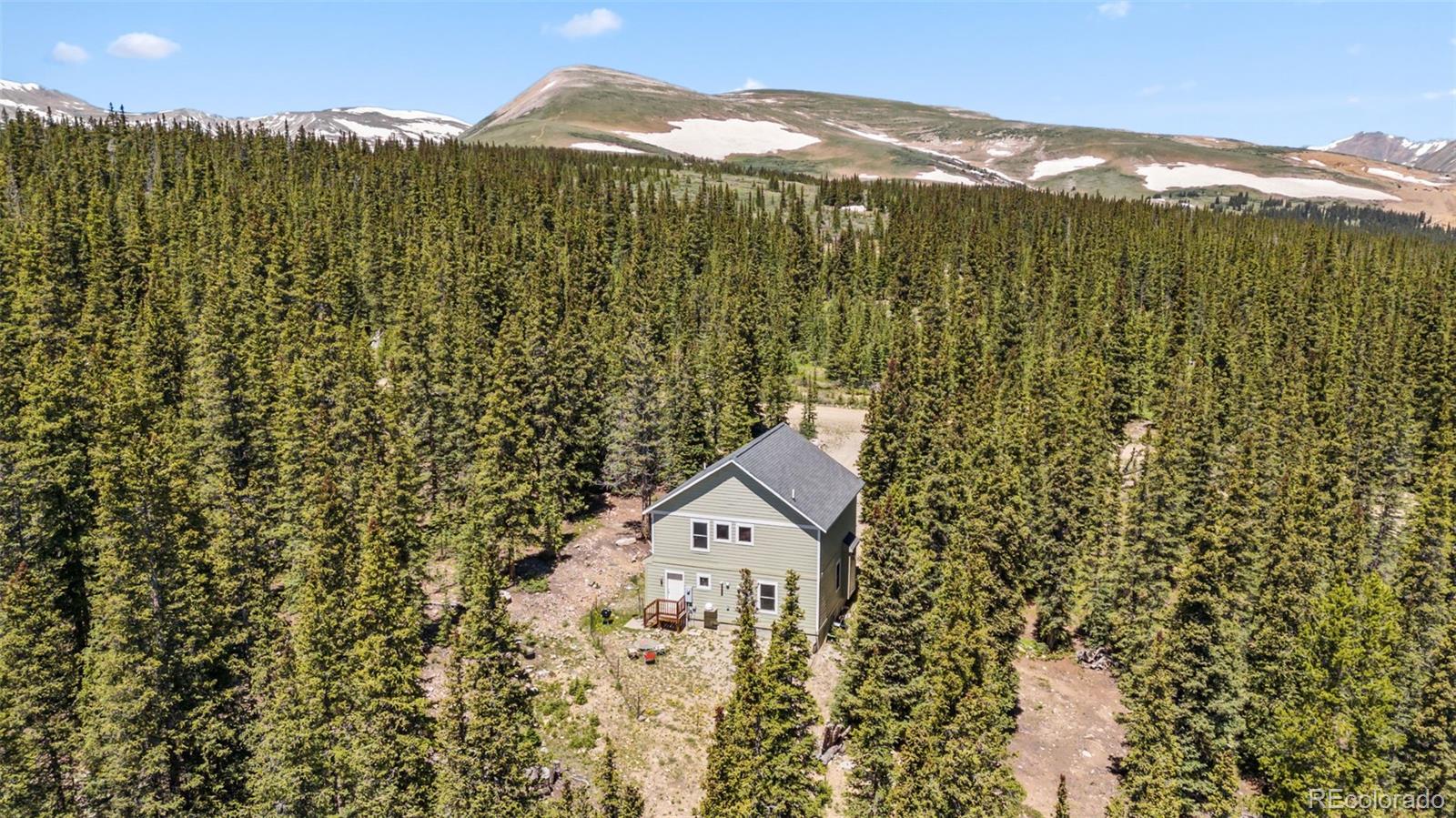 MLS Image #25 for 74  rialto road,fairplay, Colorado