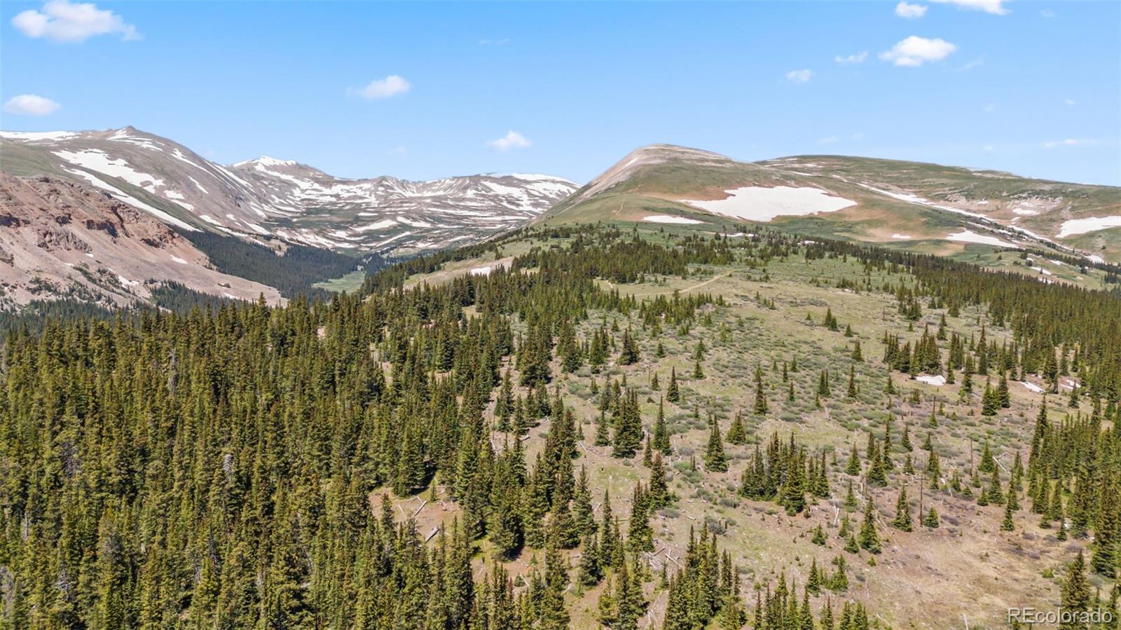 MLS Image #41 for 74  rialto road,fairplay, Colorado