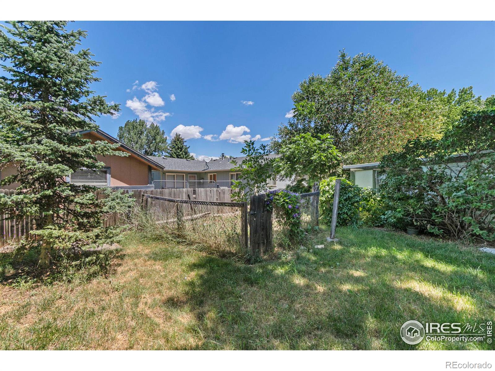 MLS Image #19 for 717 n montview road,fort collins, Colorado