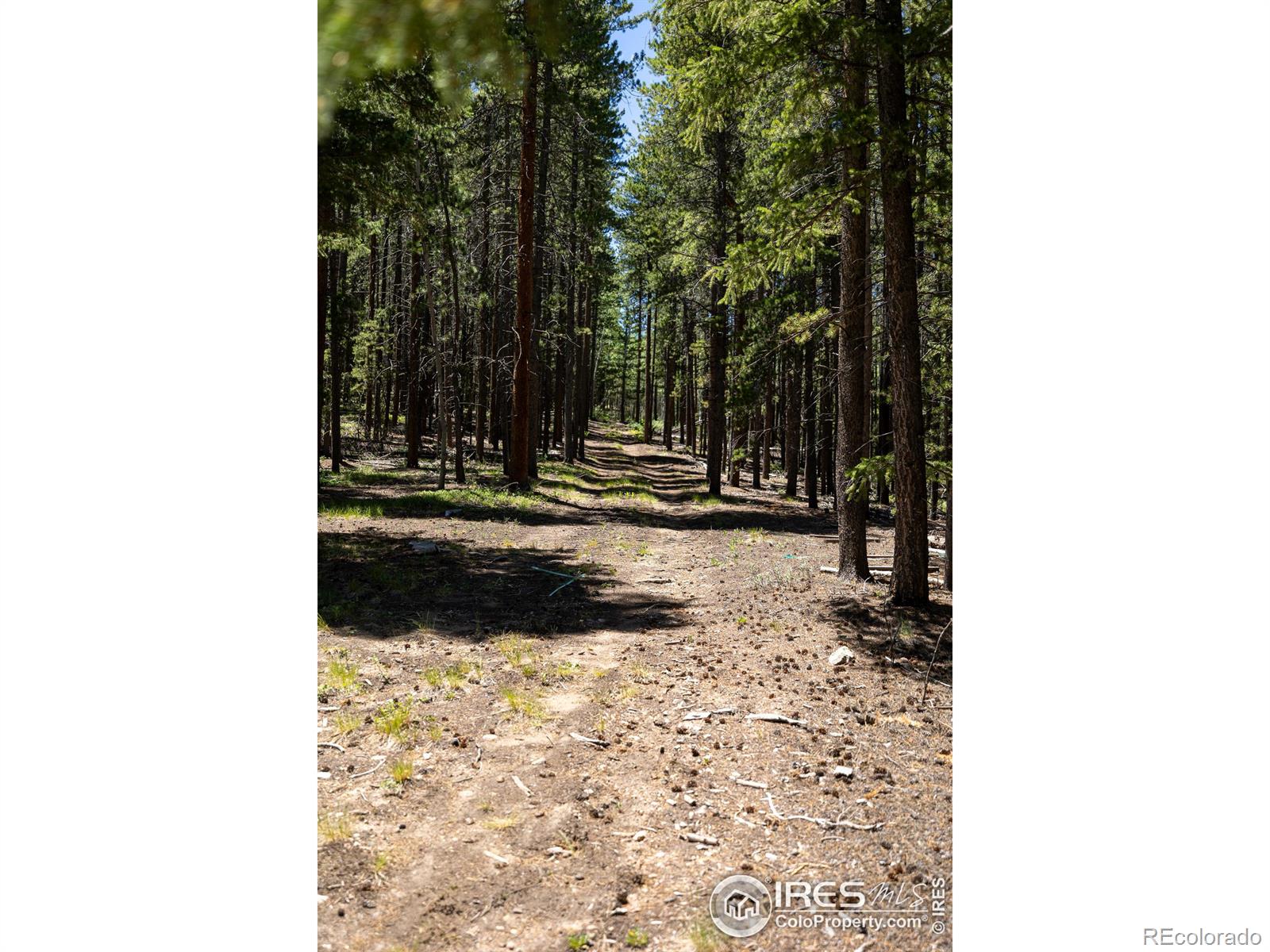 MLS Image #0 for 1001  pactolus lake road,black hawk, Colorado