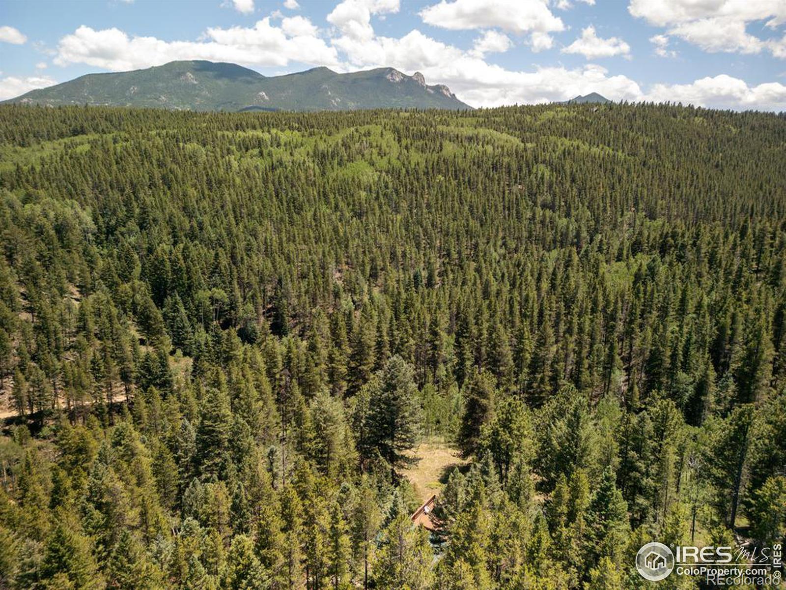 MLS Image #17 for 1001  pactolus lake road,black hawk, Colorado