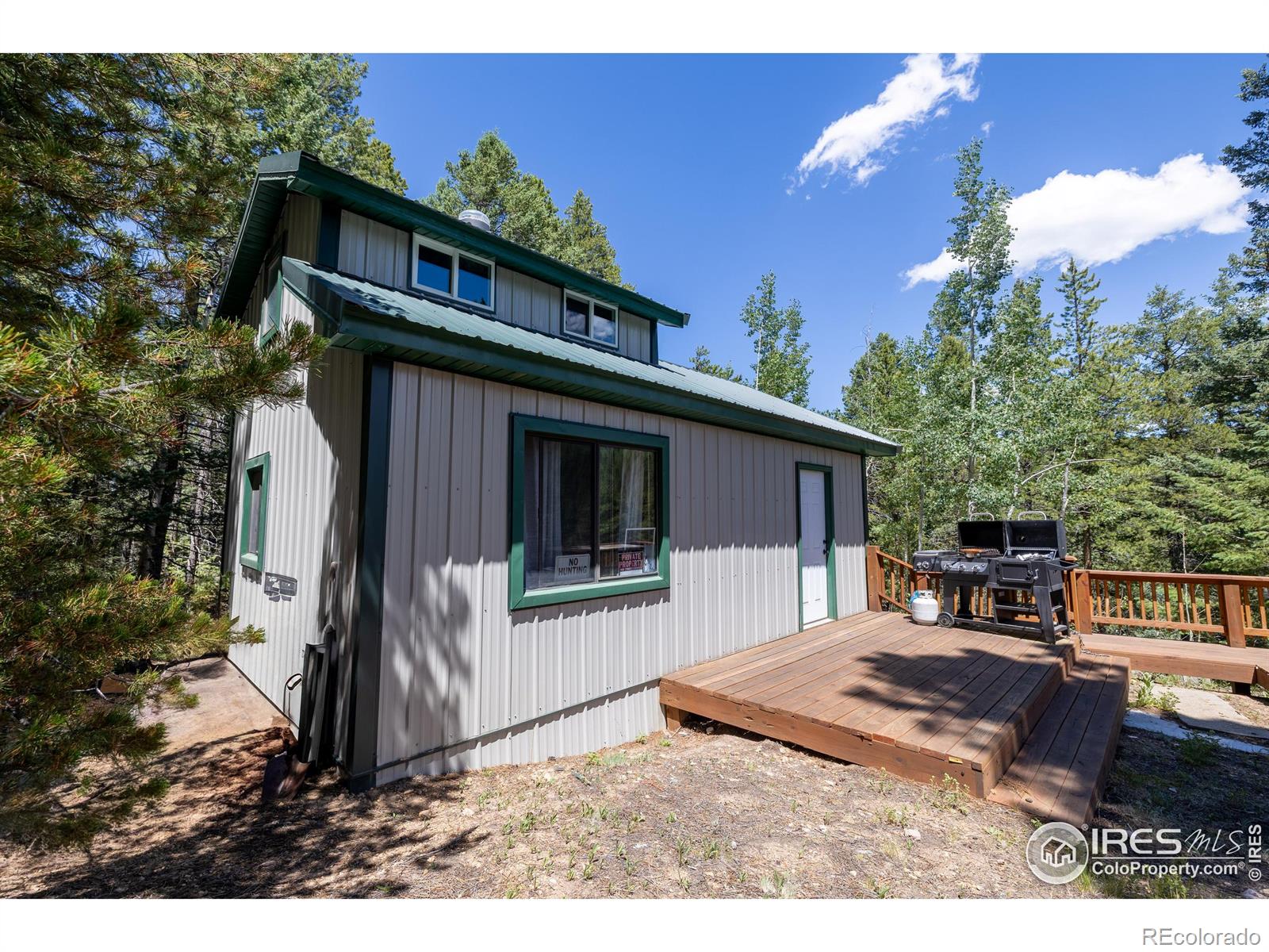 MLS Image #3 for 1001  pactolus lake road,black hawk, Colorado