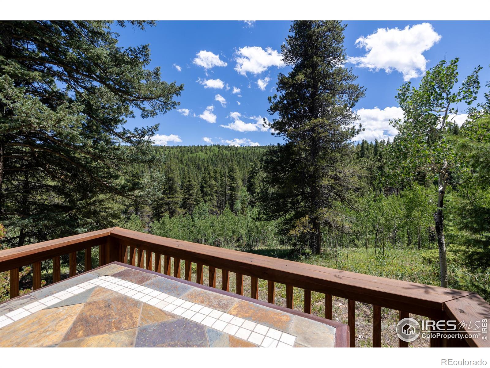 MLS Image #5 for 1001  pactolus lake road,black hawk, Colorado