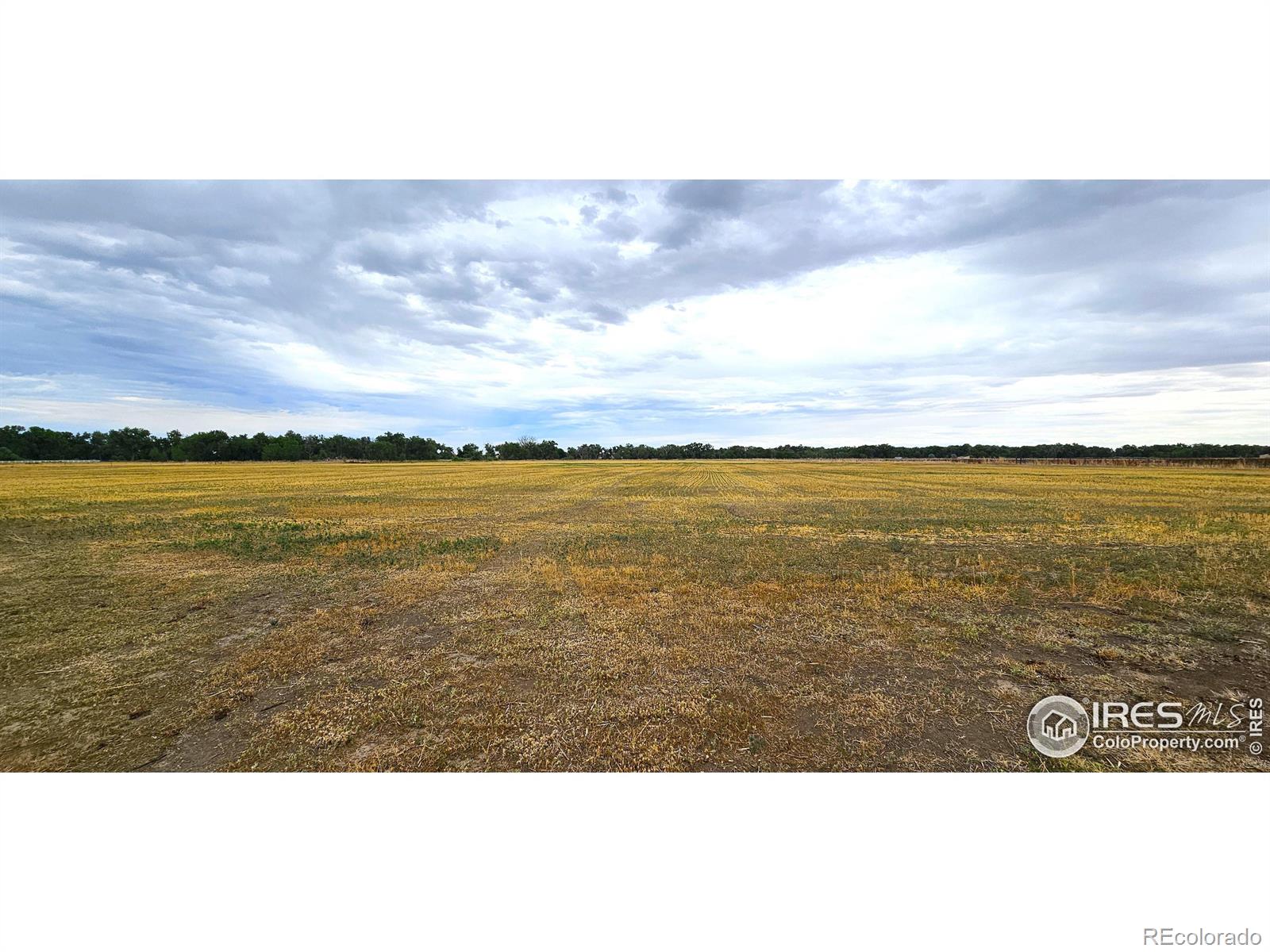 MLS Image #11 for 8924  county road 25 ,fort lupton, Colorado