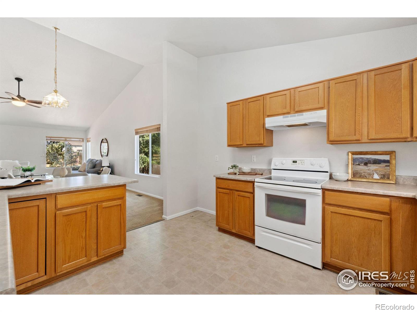 MLS Image #10 for 7477  skyline street,longmont, Colorado