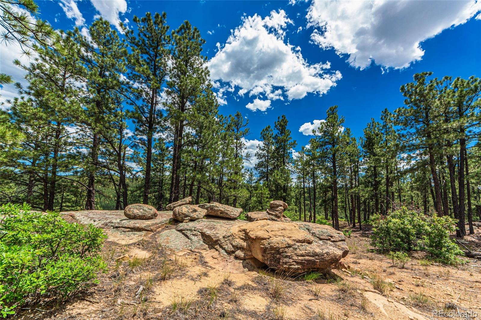 MLS Image #27 for 13250  mountain meadow trace,weston, Colorado