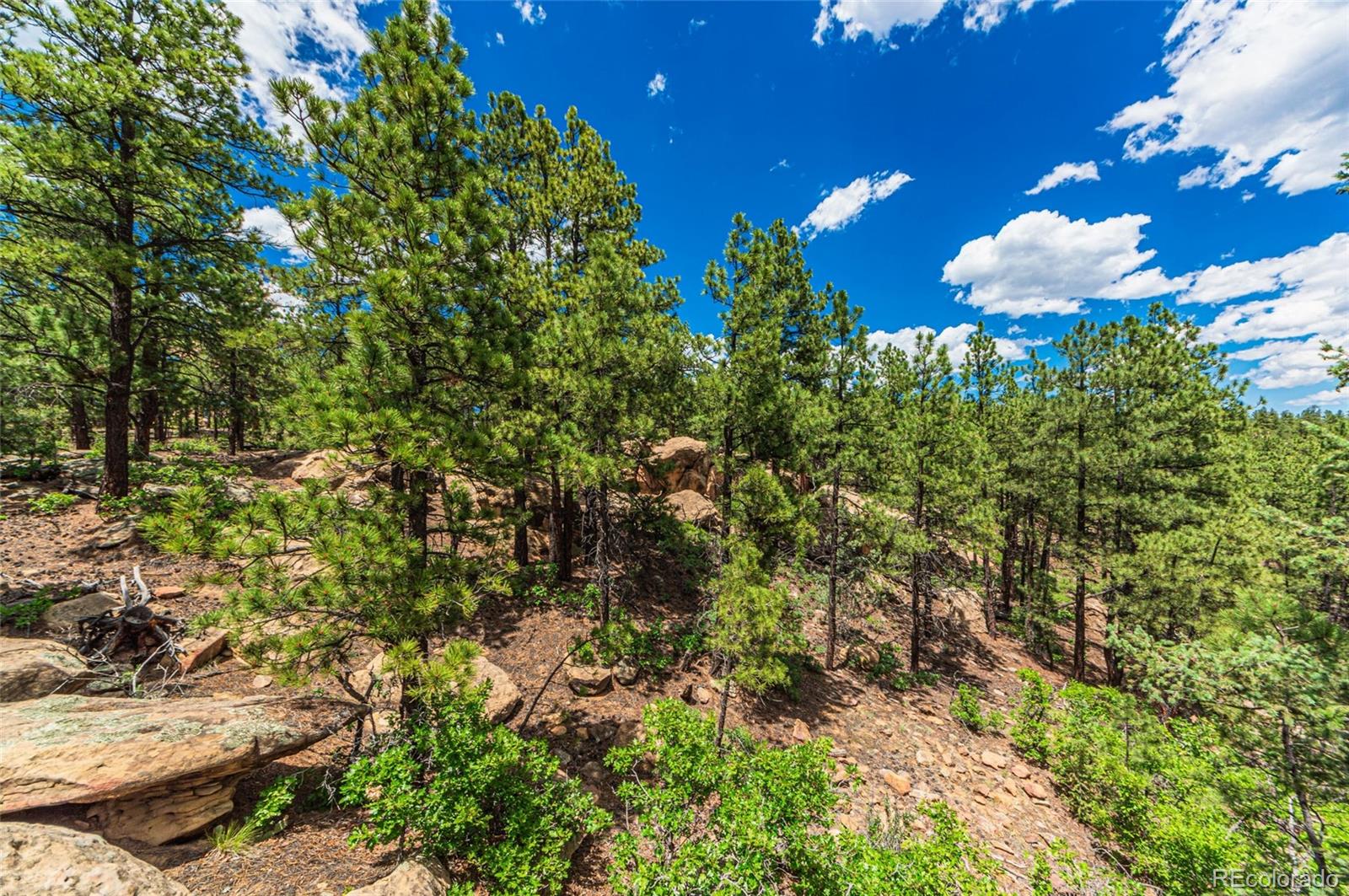 MLS Image #28 for 13250  mountain meadow trace,weston, Colorado