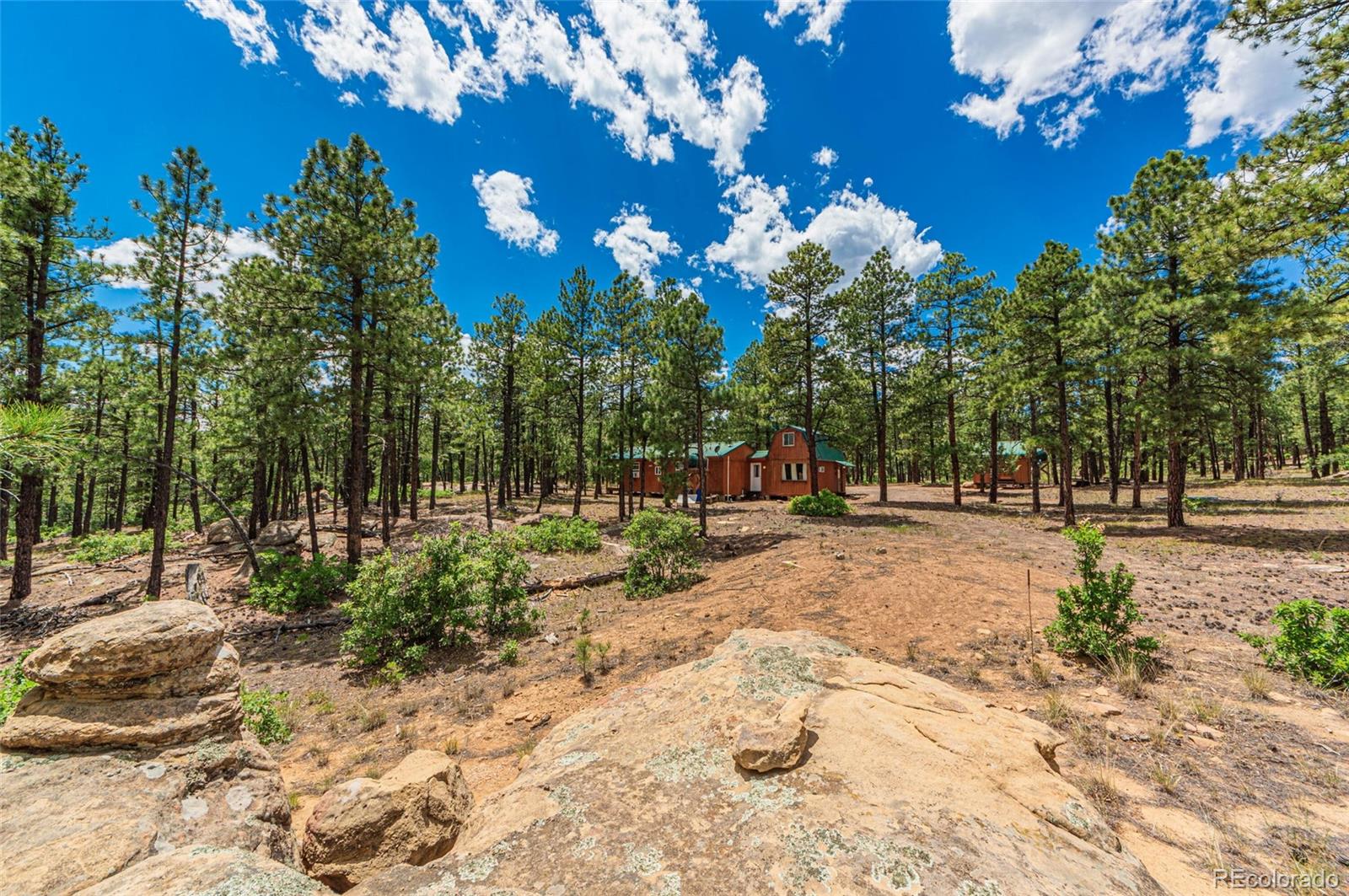 MLS Image #29 for 13250  mountain meadow trace,weston, Colorado