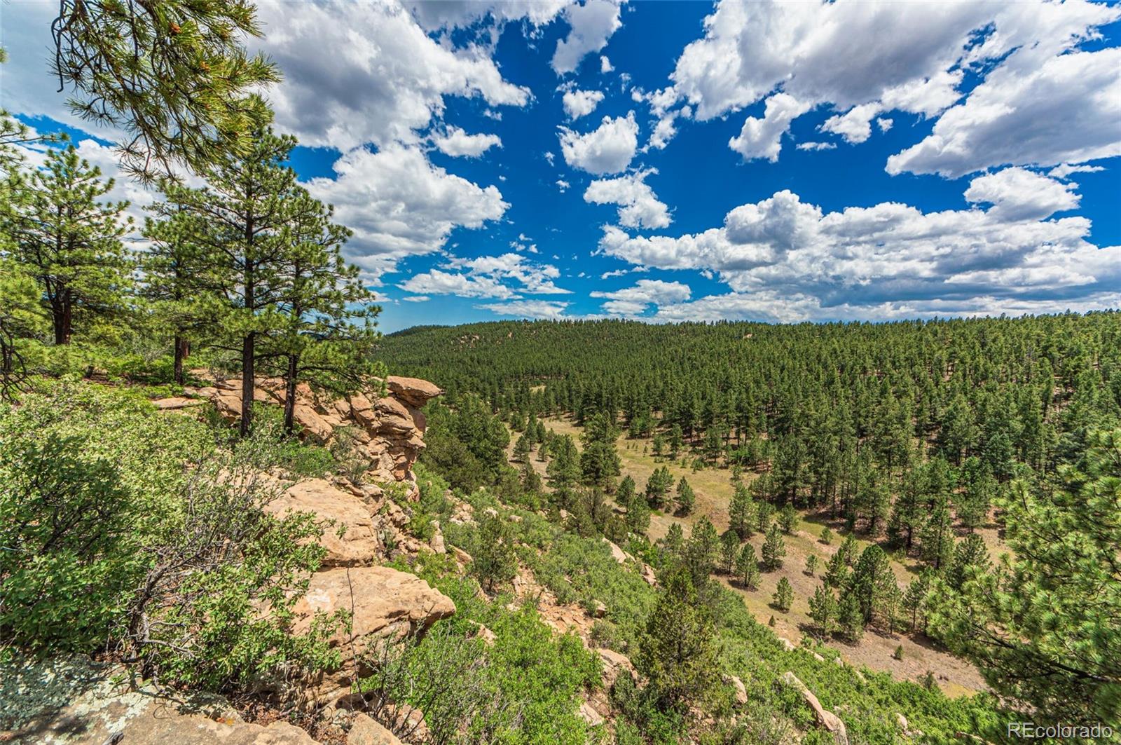 MLS Image #31 for 13250  mountain meadow trace,weston, Colorado