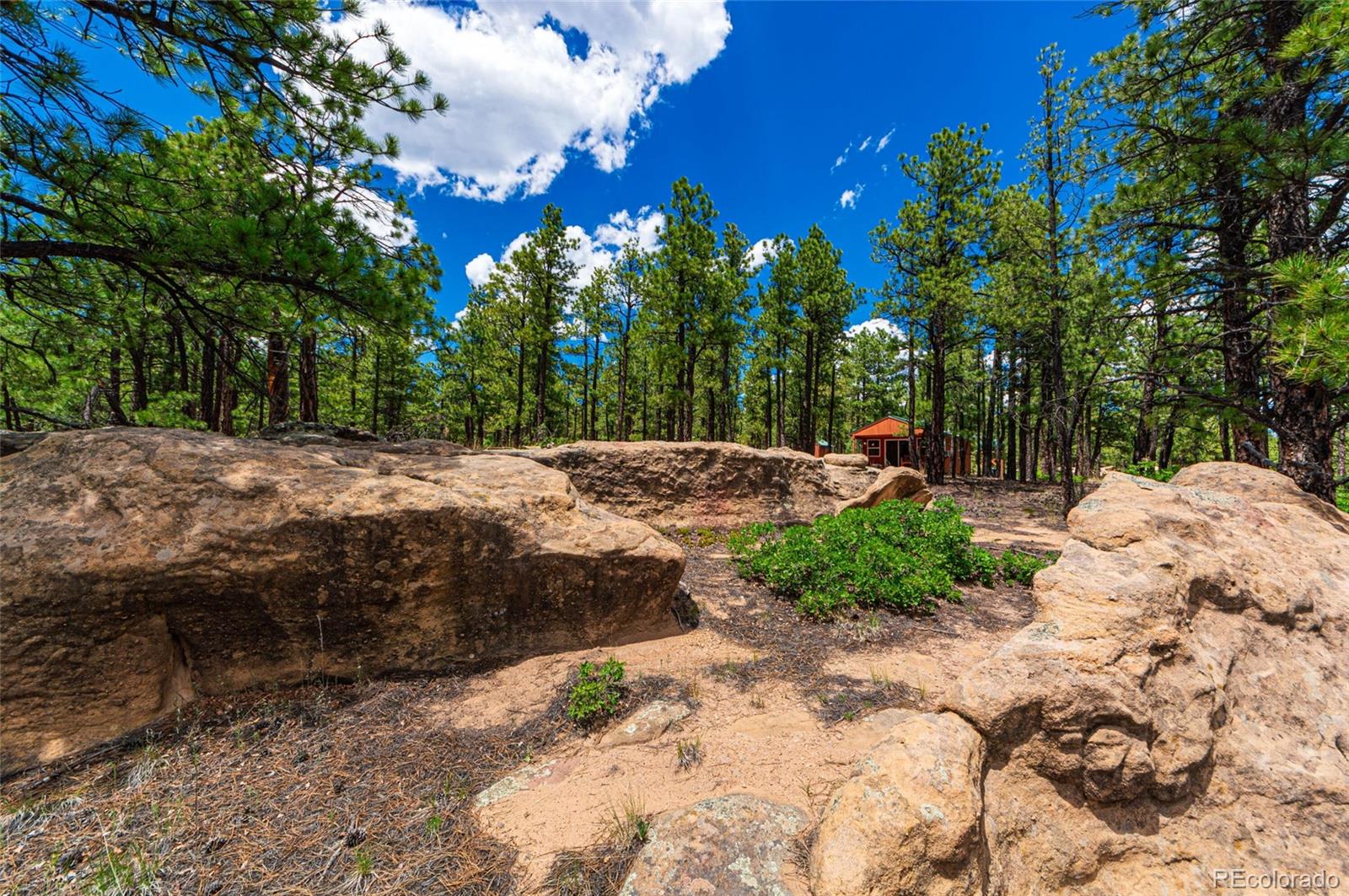 MLS Image #33 for 13250  mountain meadow trace,weston, Colorado