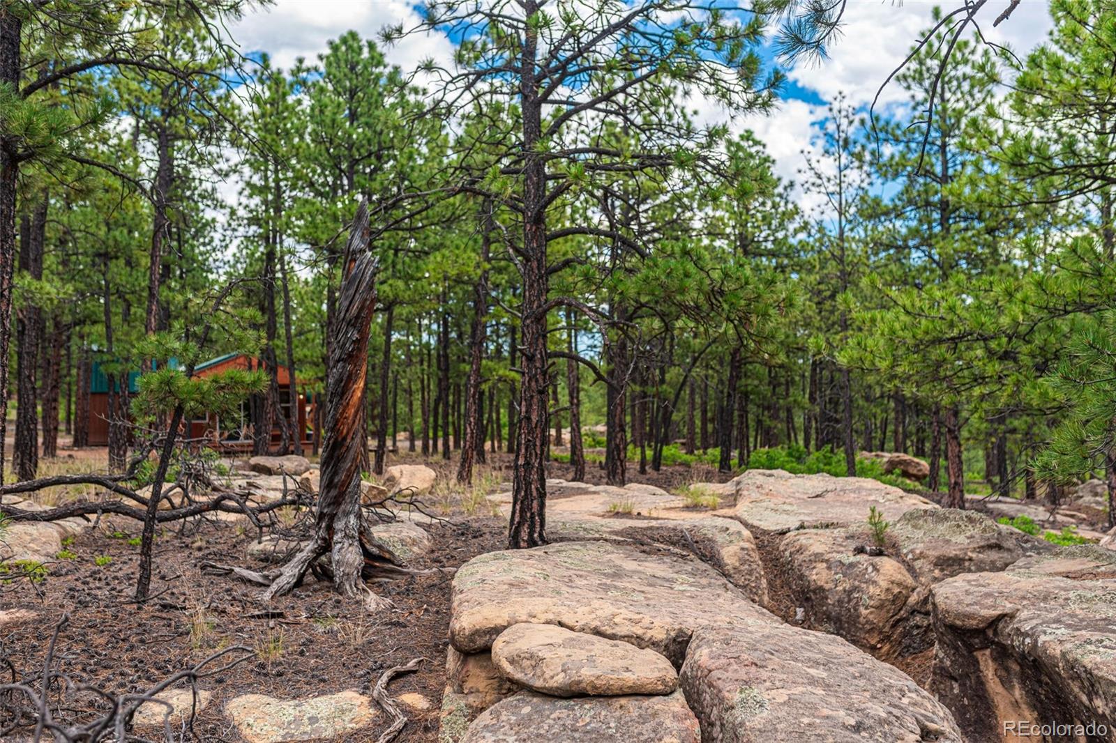 MLS Image #35 for 13250  mountain meadow trace,weston, Colorado