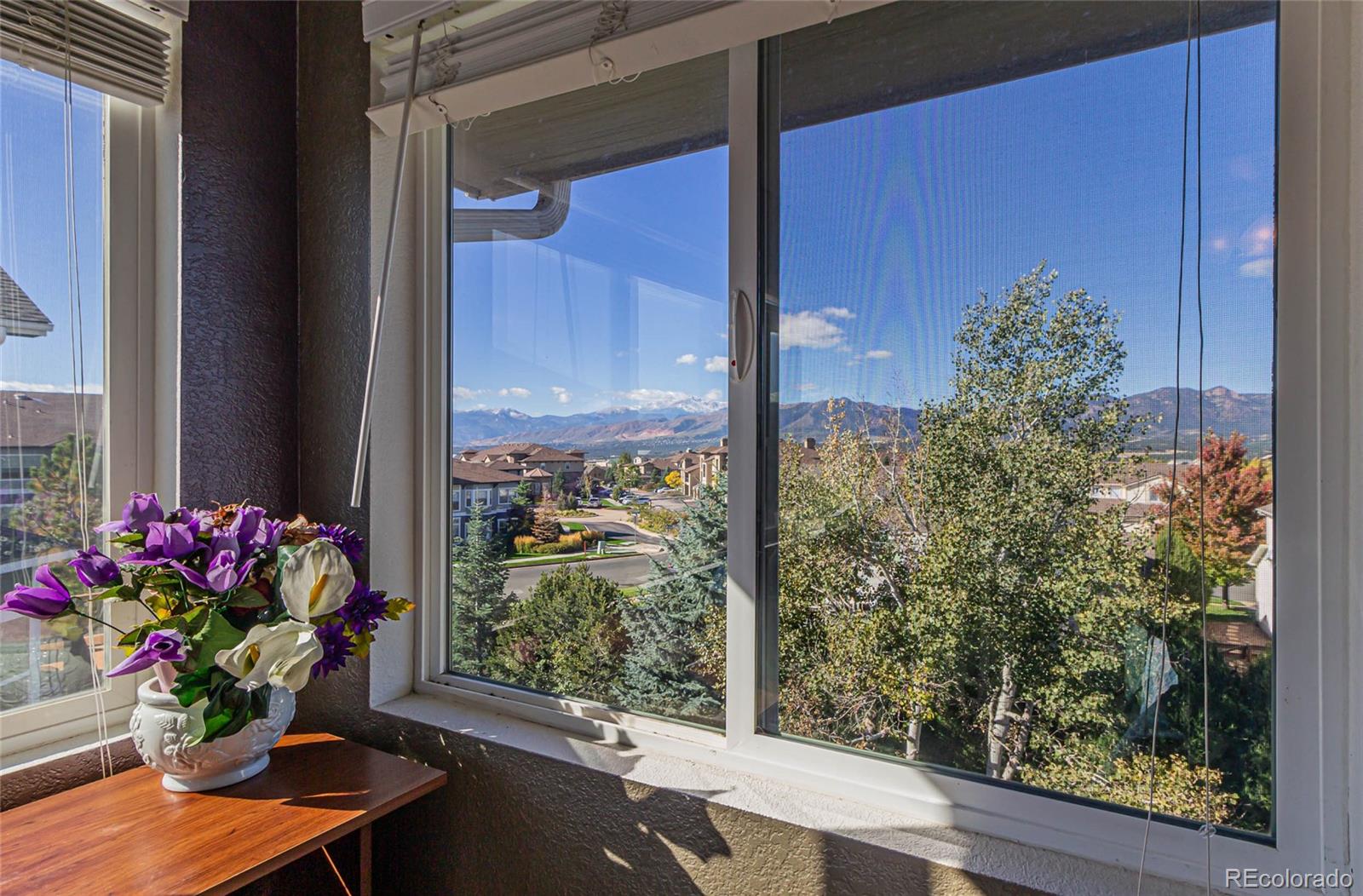 MLS Image #26 for 1663  lookout springs drive,colorado springs, Colorado