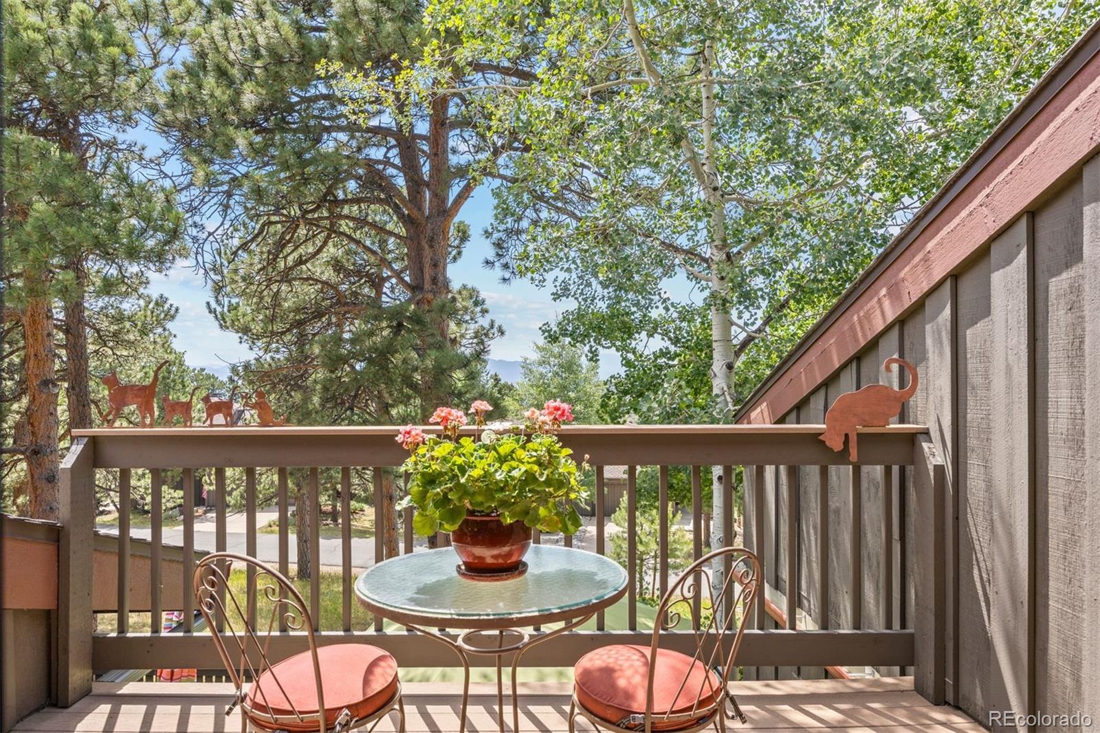 MLS Image #27 for 23996  currant drive,golden, Colorado