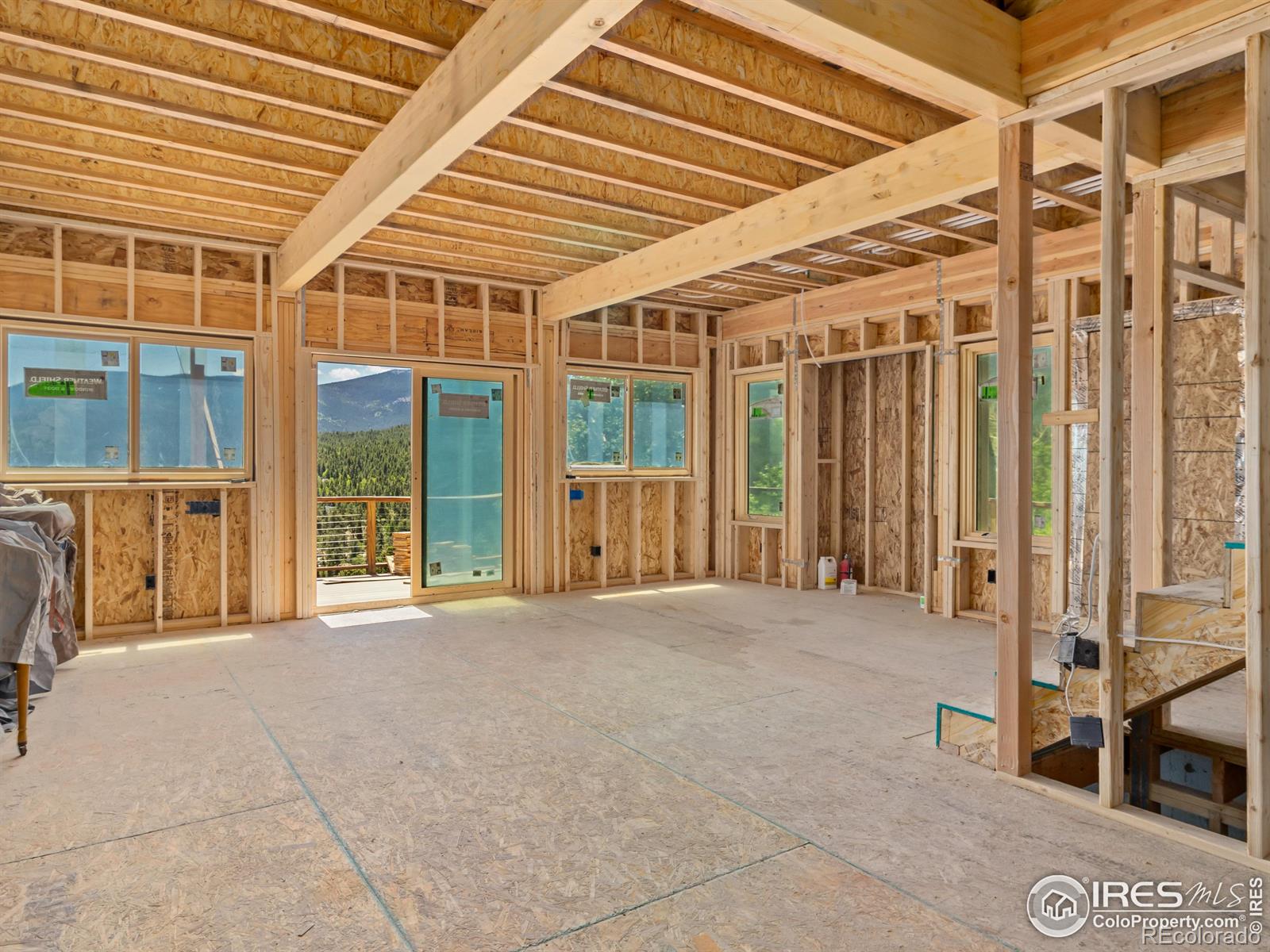 MLS Image #10 for 494 n skinner road,allenspark, Colorado