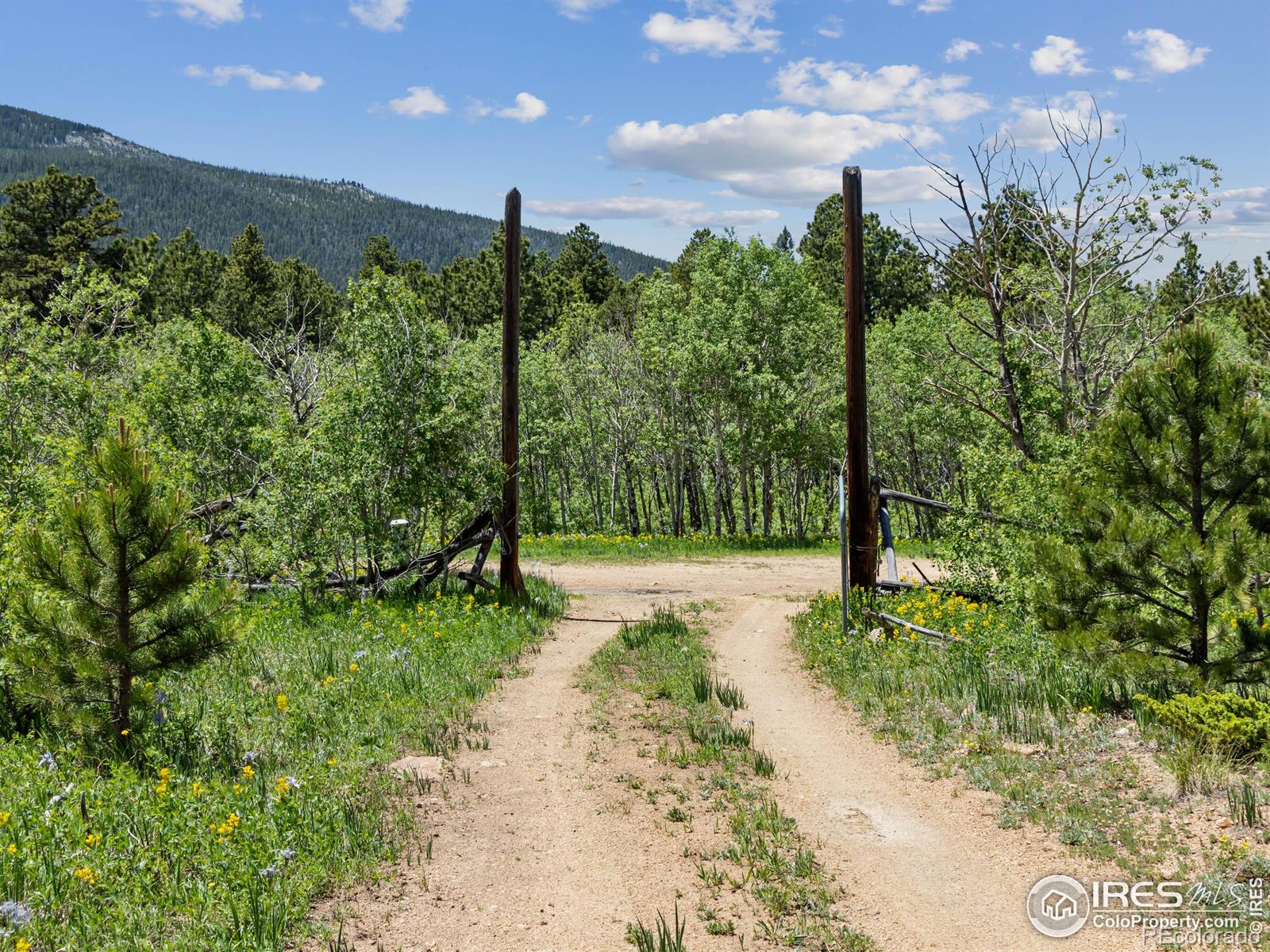 MLS Image #20 for 494 n skinner road,allenspark, Colorado