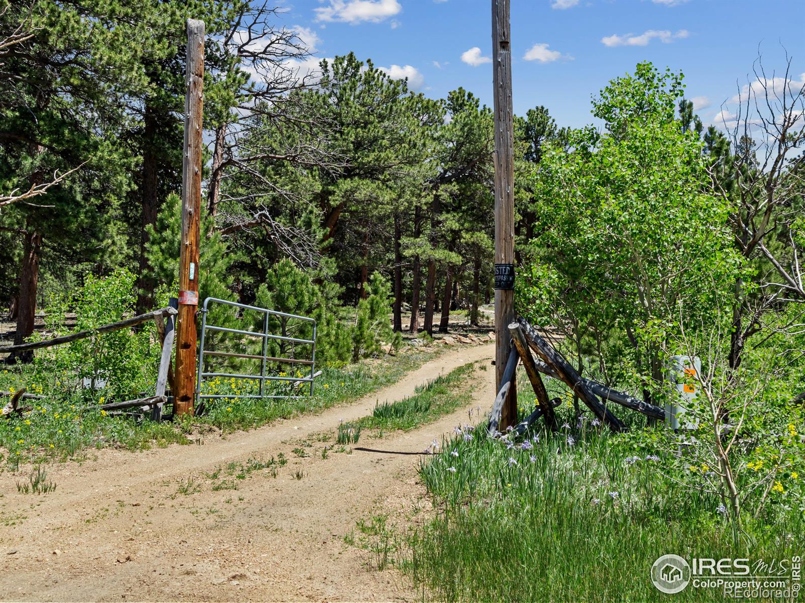 MLS Image #22 for 494 n skinner road,allenspark, Colorado