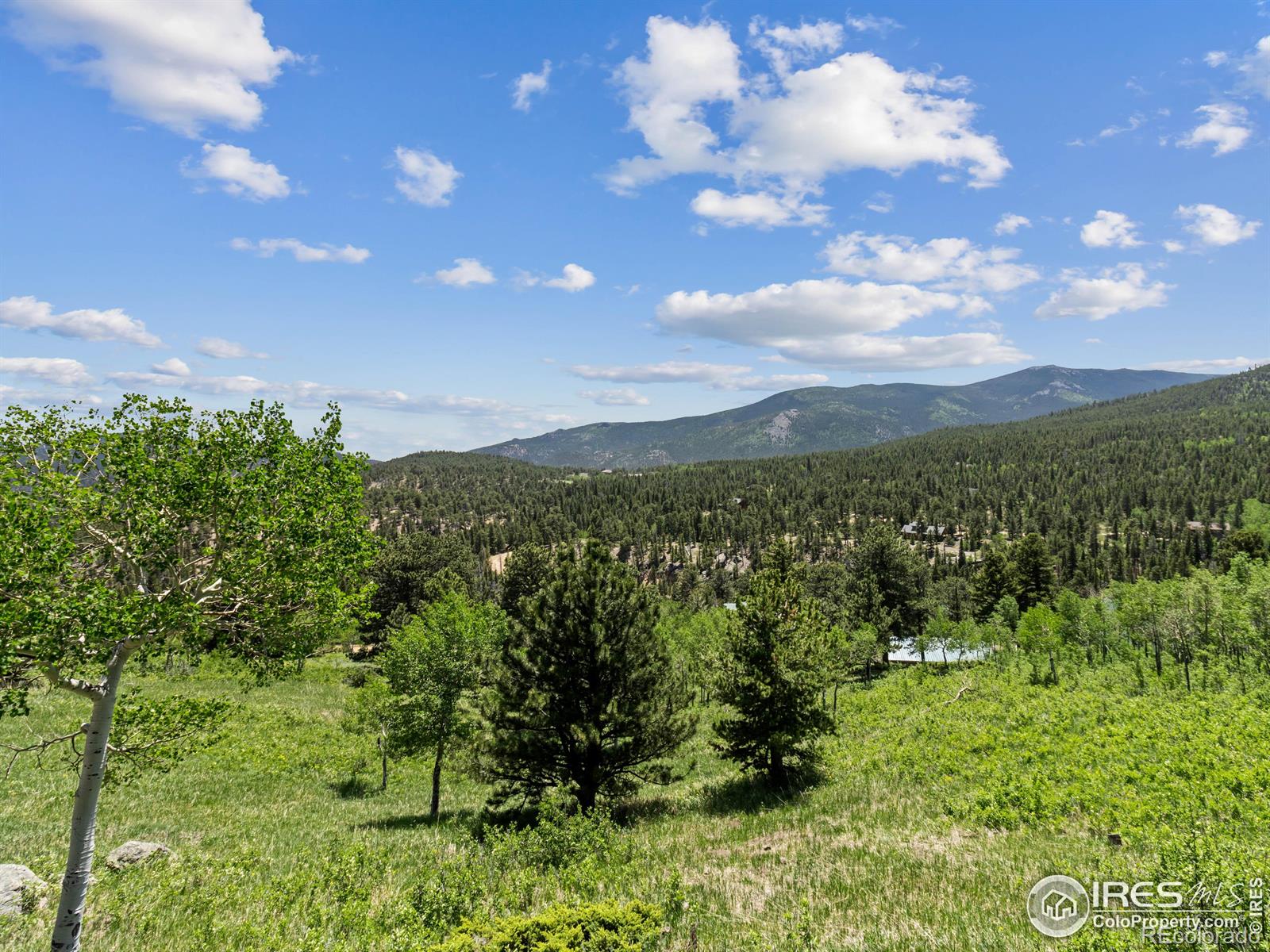 MLS Image #23 for 494 n skinner road,allenspark, Colorado