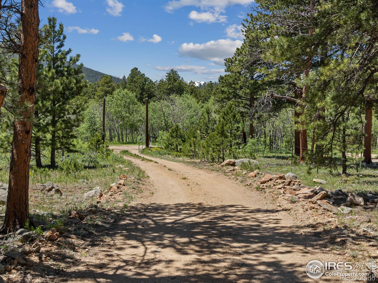 MLS Image #25 for 494 n skinner road,allenspark, Colorado