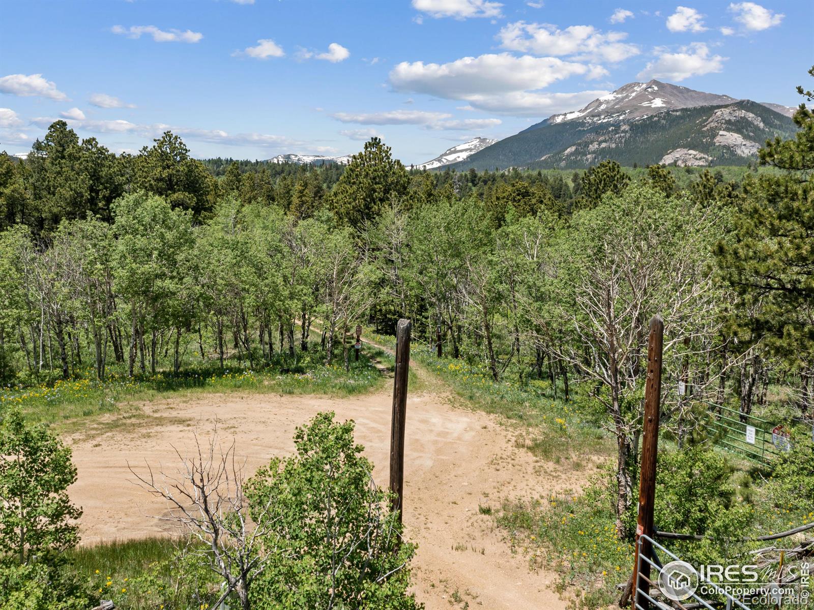 MLS Image #26 for 494 n skinner road,allenspark, Colorado