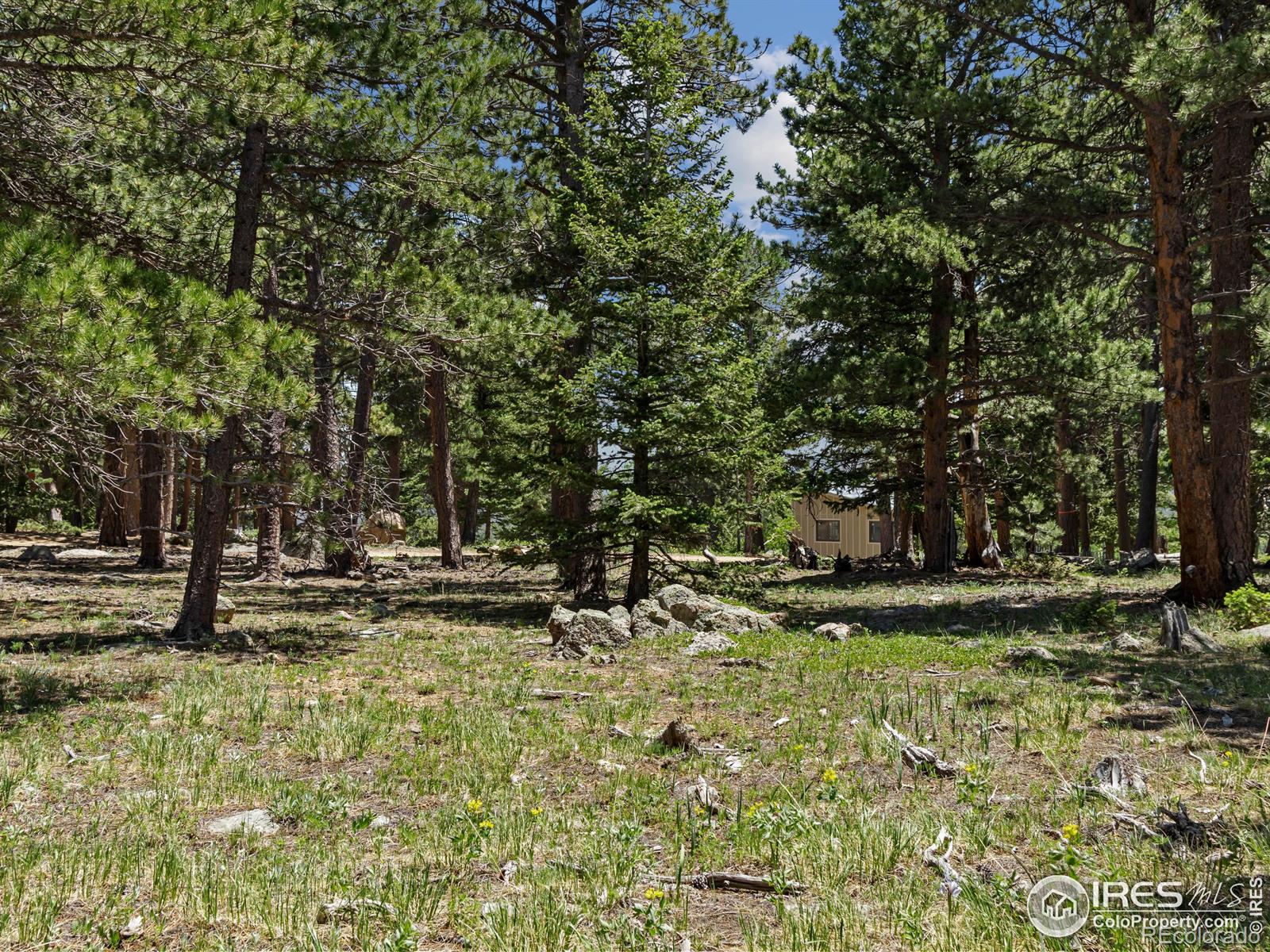 MLS Image #27 for 494 n skinner road,allenspark, Colorado