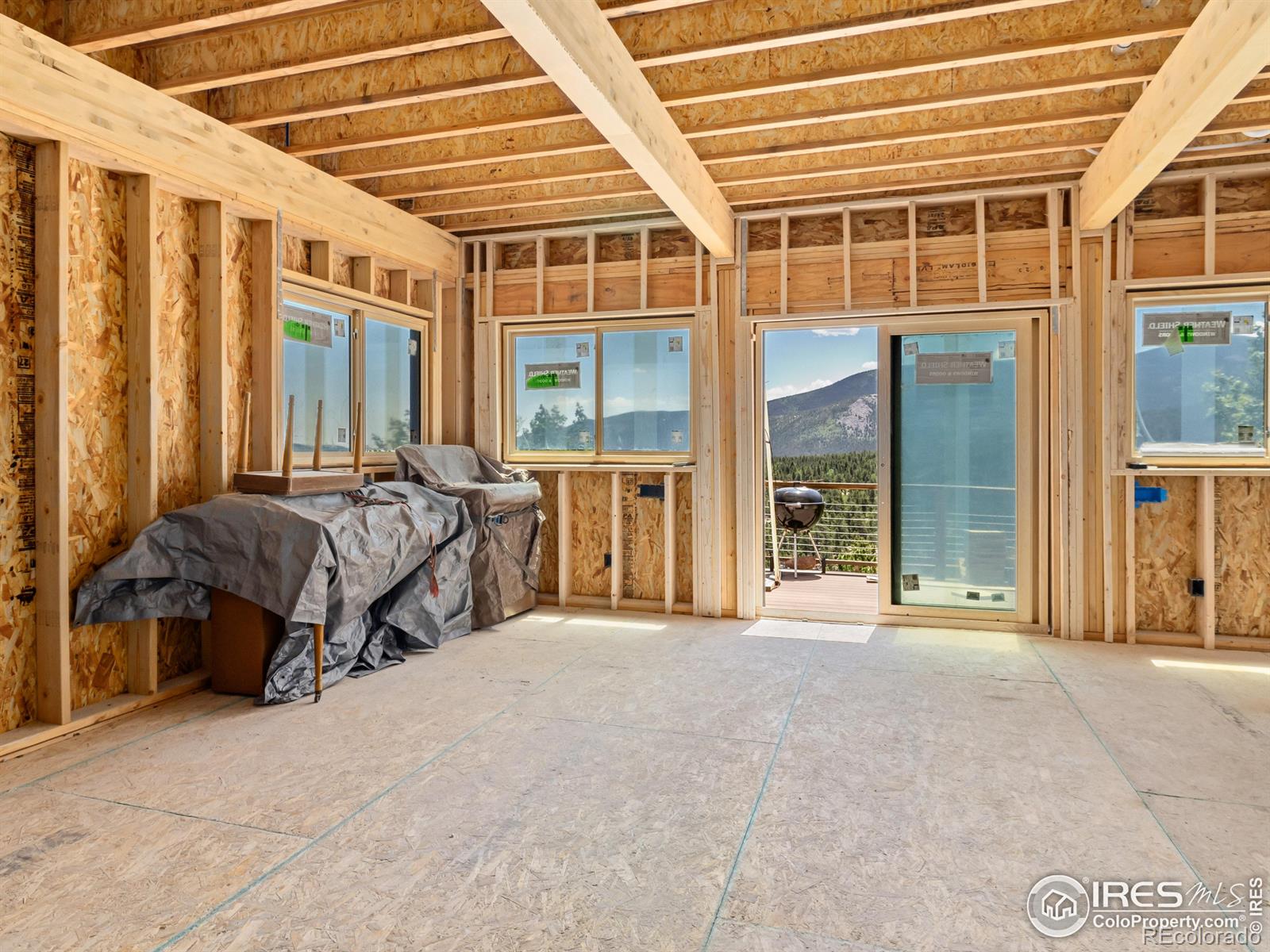 MLS Image #5 for 494 n skinner road,allenspark, Colorado