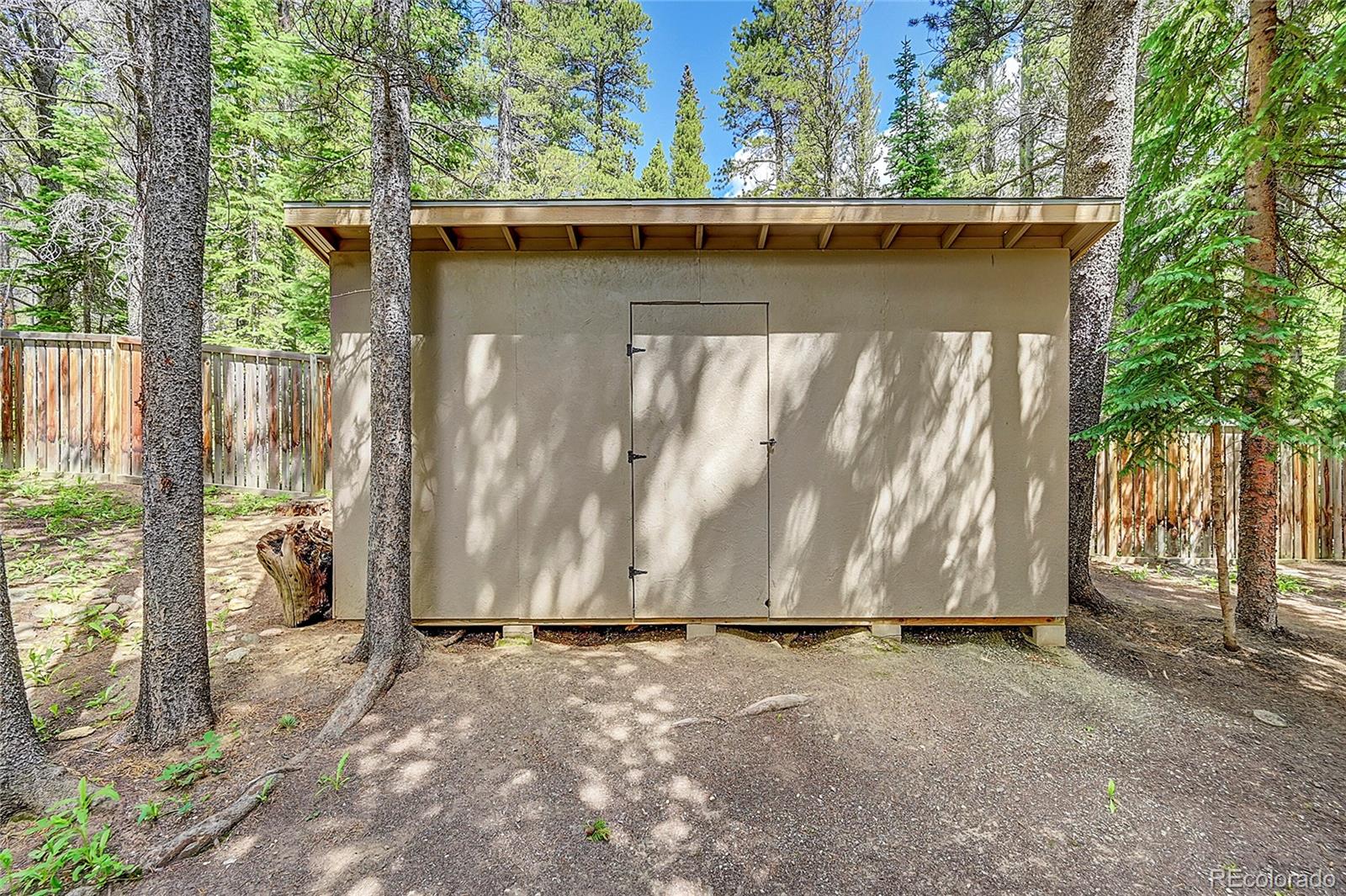 MLS Image #12 for 11  elk court,idaho springs, Colorado