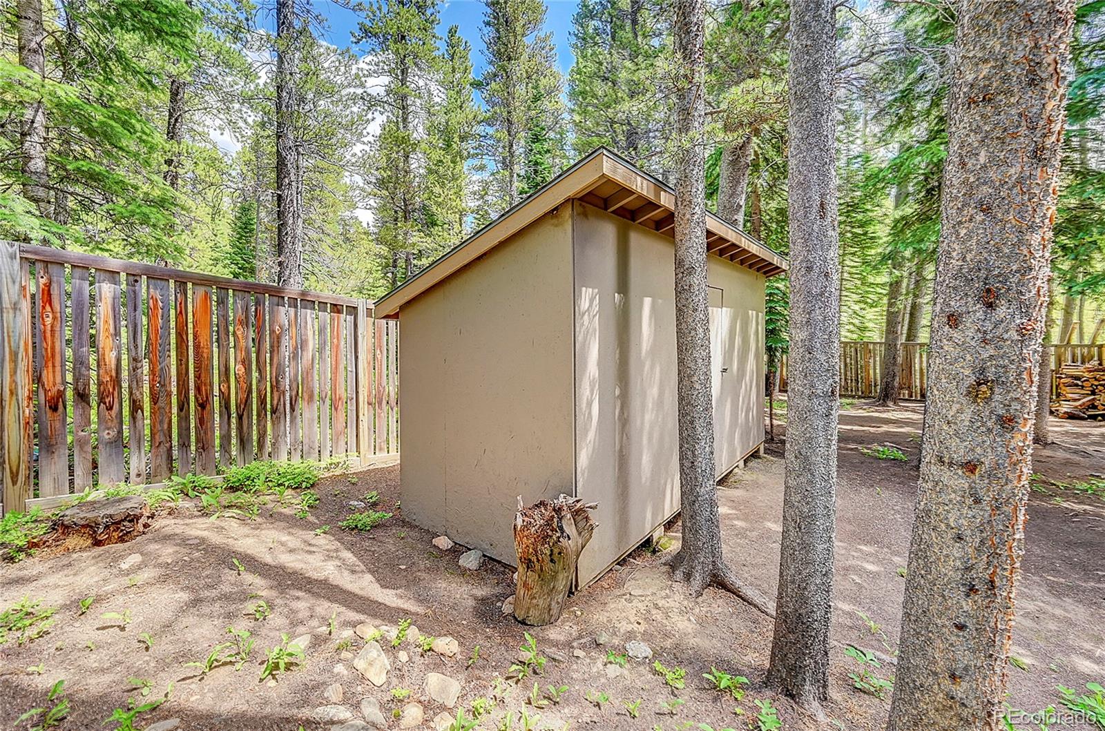 MLS Image #13 for 11  elk court,idaho springs, Colorado