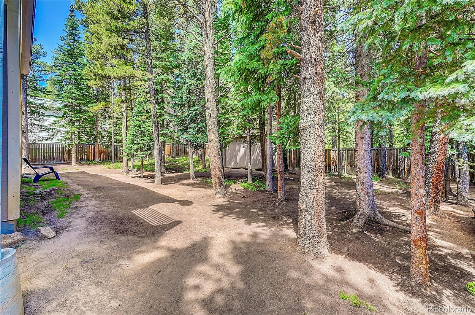 MLS Image #15 for 11  elk court,idaho springs, Colorado