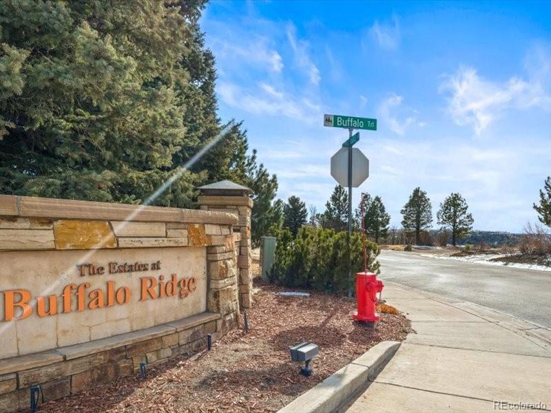 MLS Image #44 for 1222  buffalo ridge road,castle pines, Colorado