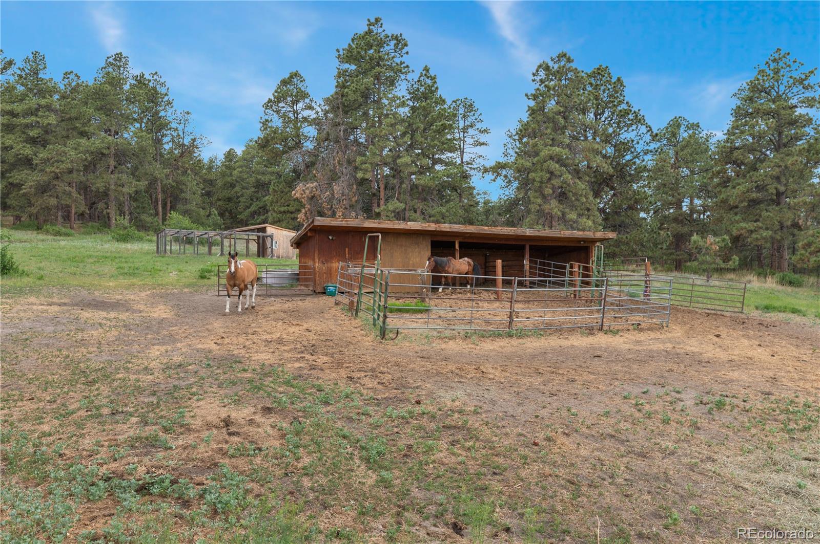 MLS Image #48 for 19455  birdseye view,peyton, Colorado