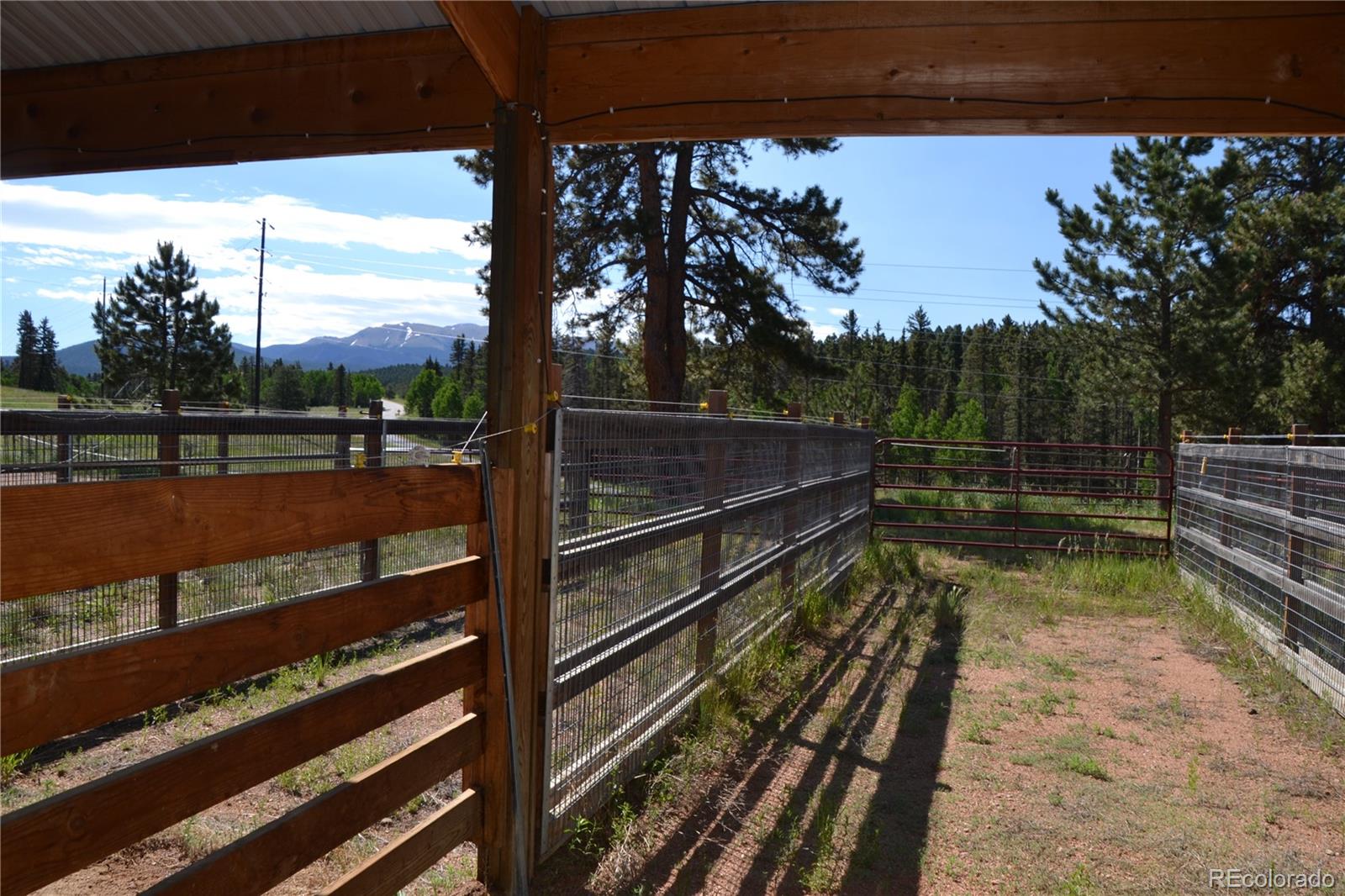 MLS Image #12 for 4763  cr 42 ,divide, Colorado