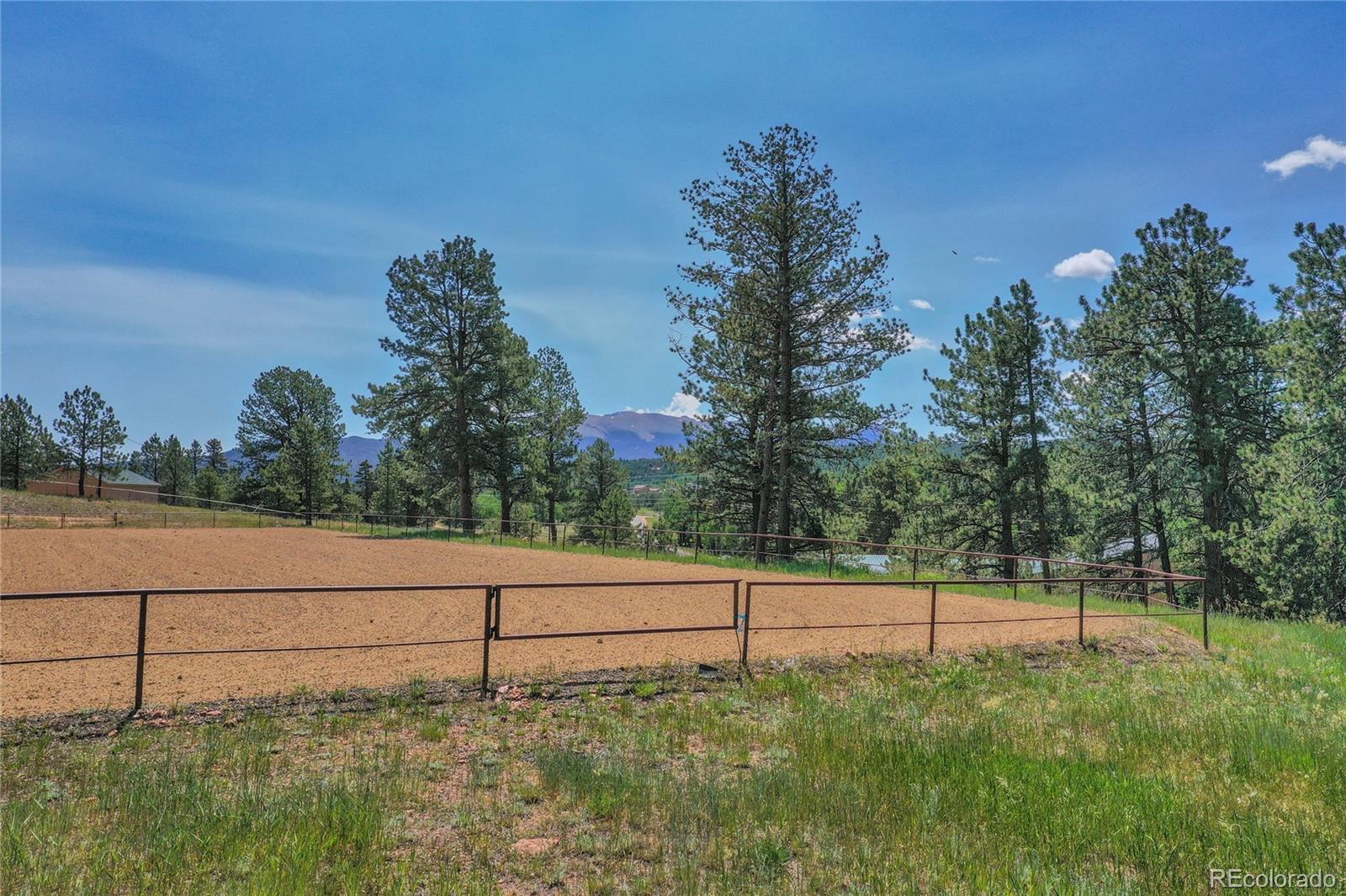 MLS Image #18 for 4763  cr 42 ,divide, Colorado