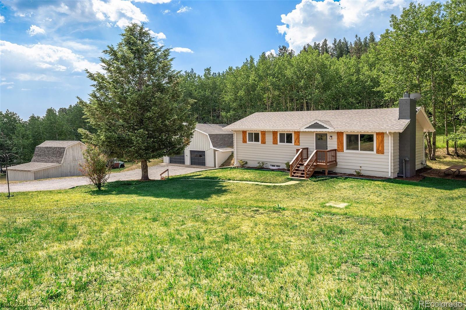 MLS Image #6 for 280  hyland drive,evergreen, Colorado