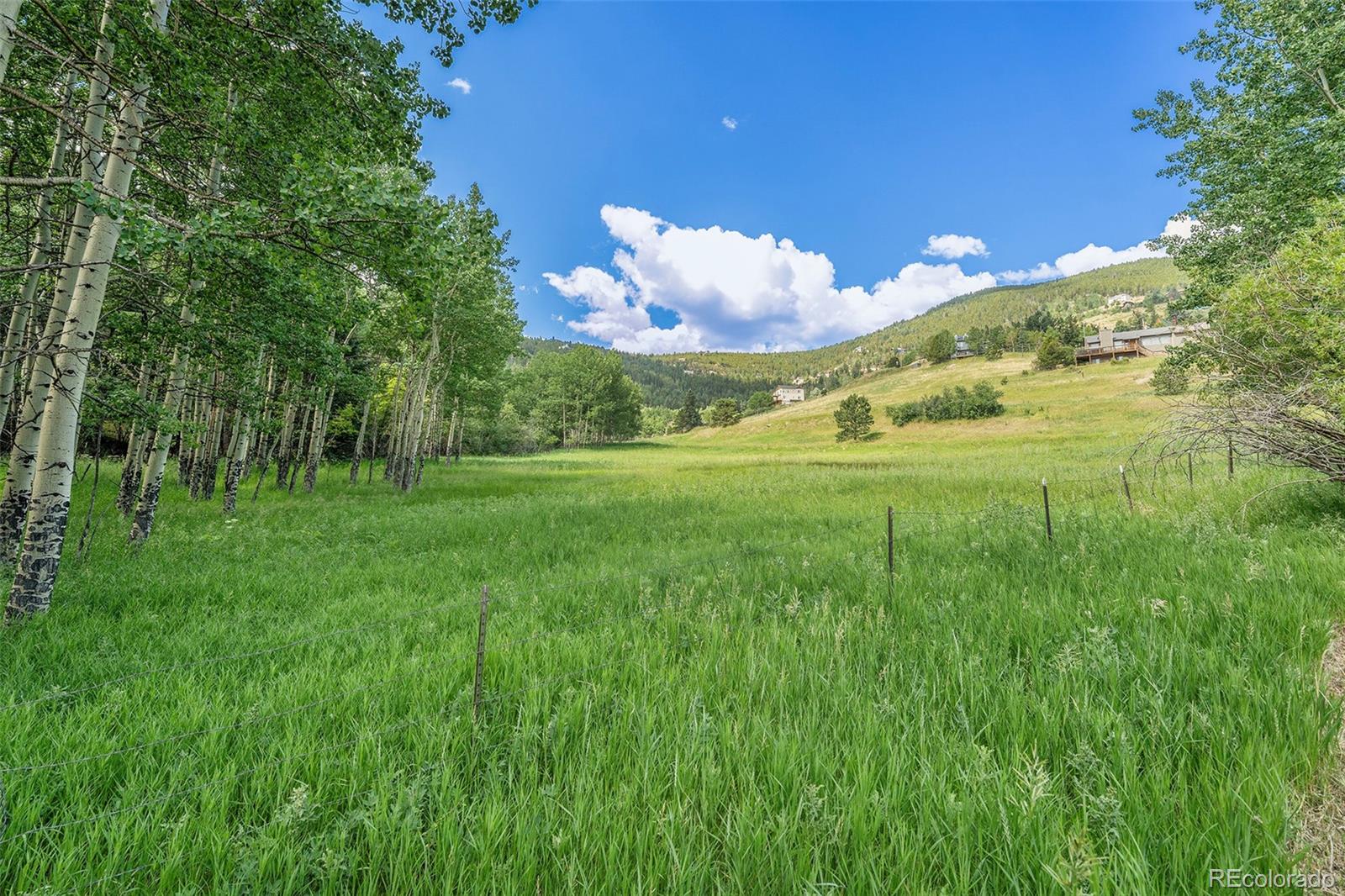MLS Image #7 for 280  hyland drive,evergreen, Colorado