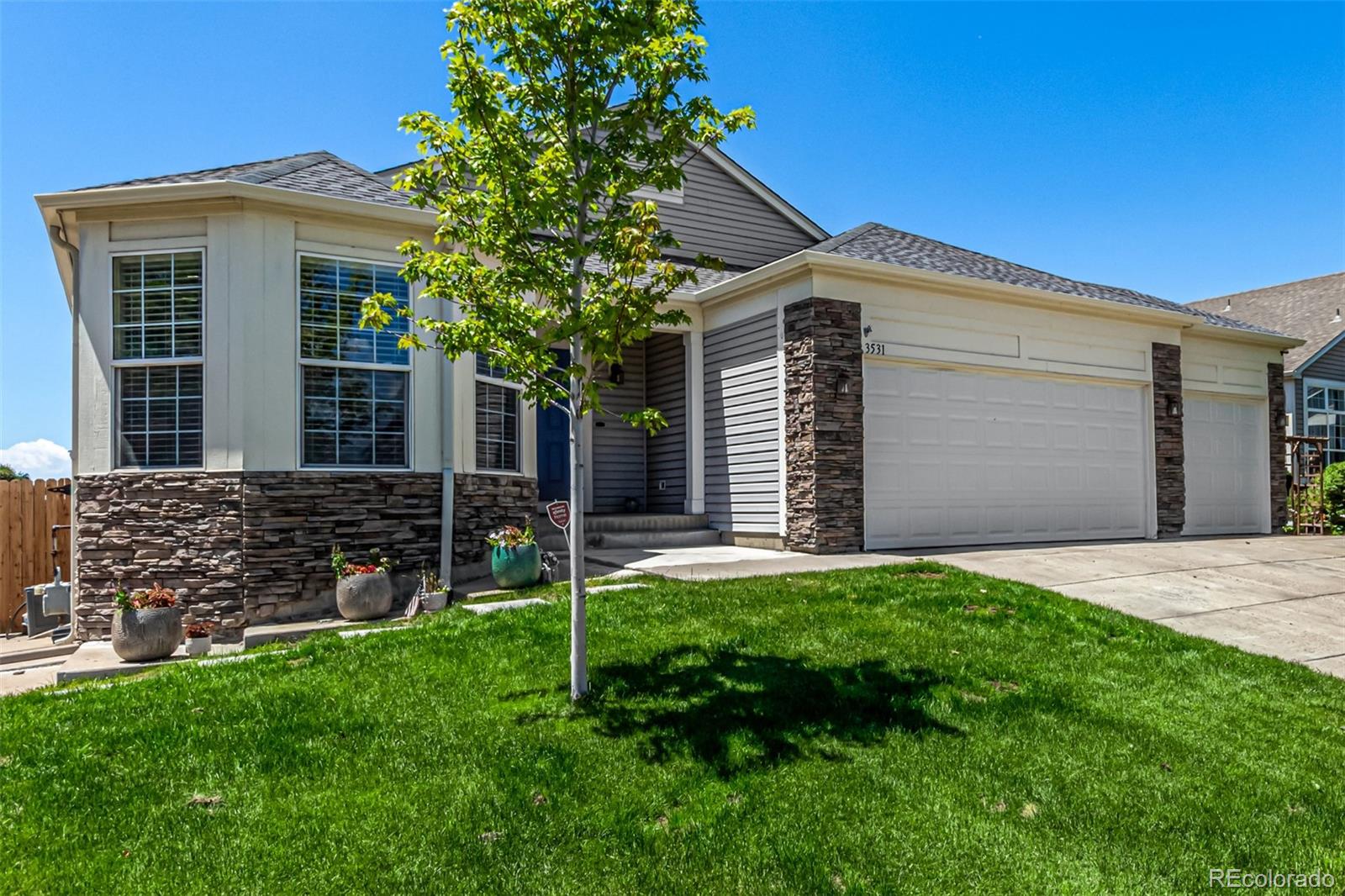 MLS Image #3 for 3531 s lisbon street,aurora, Colorado