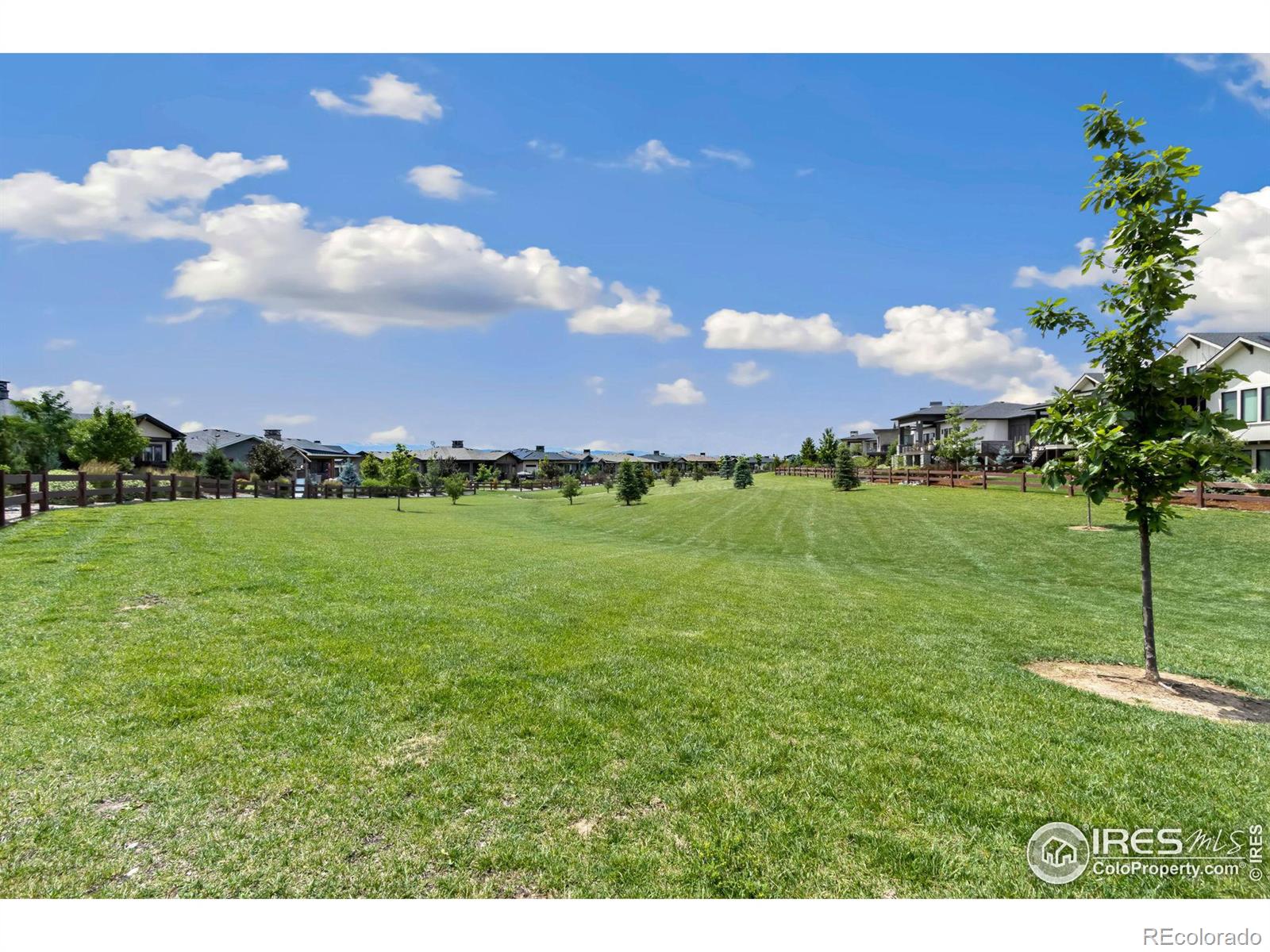 MLS Image #37 for 4327  grand park drive,timnath, Colorado