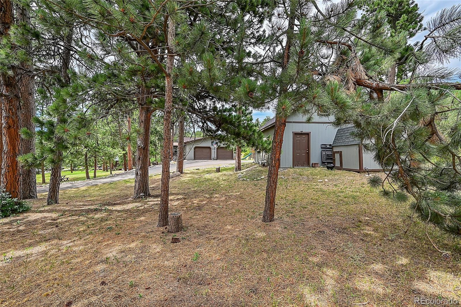 MLS Image #2 for 2859  cagle drive,larkspur, Colorado