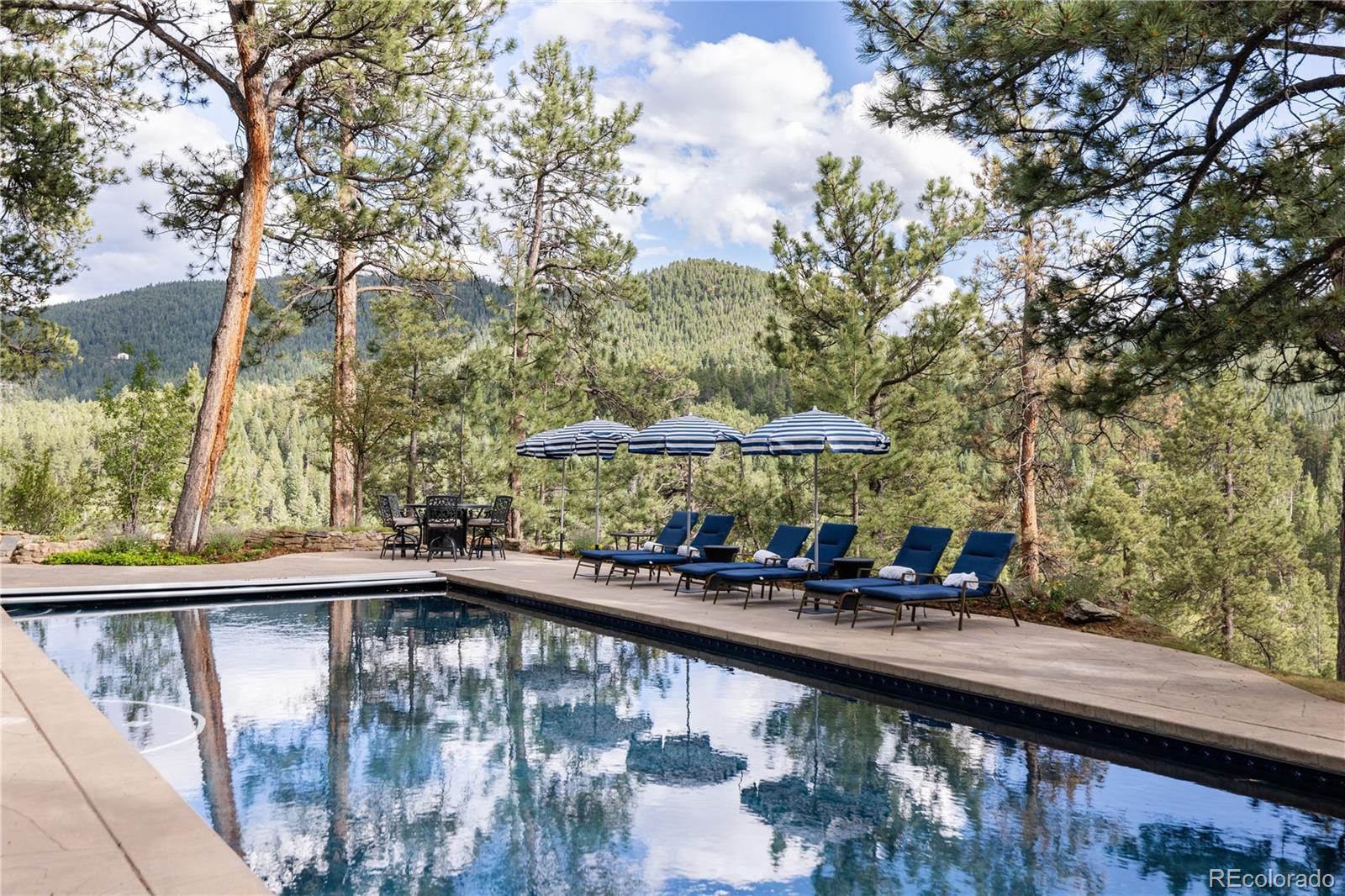 MLS Image #28 for 222  greystone road,evergreen, Colorado