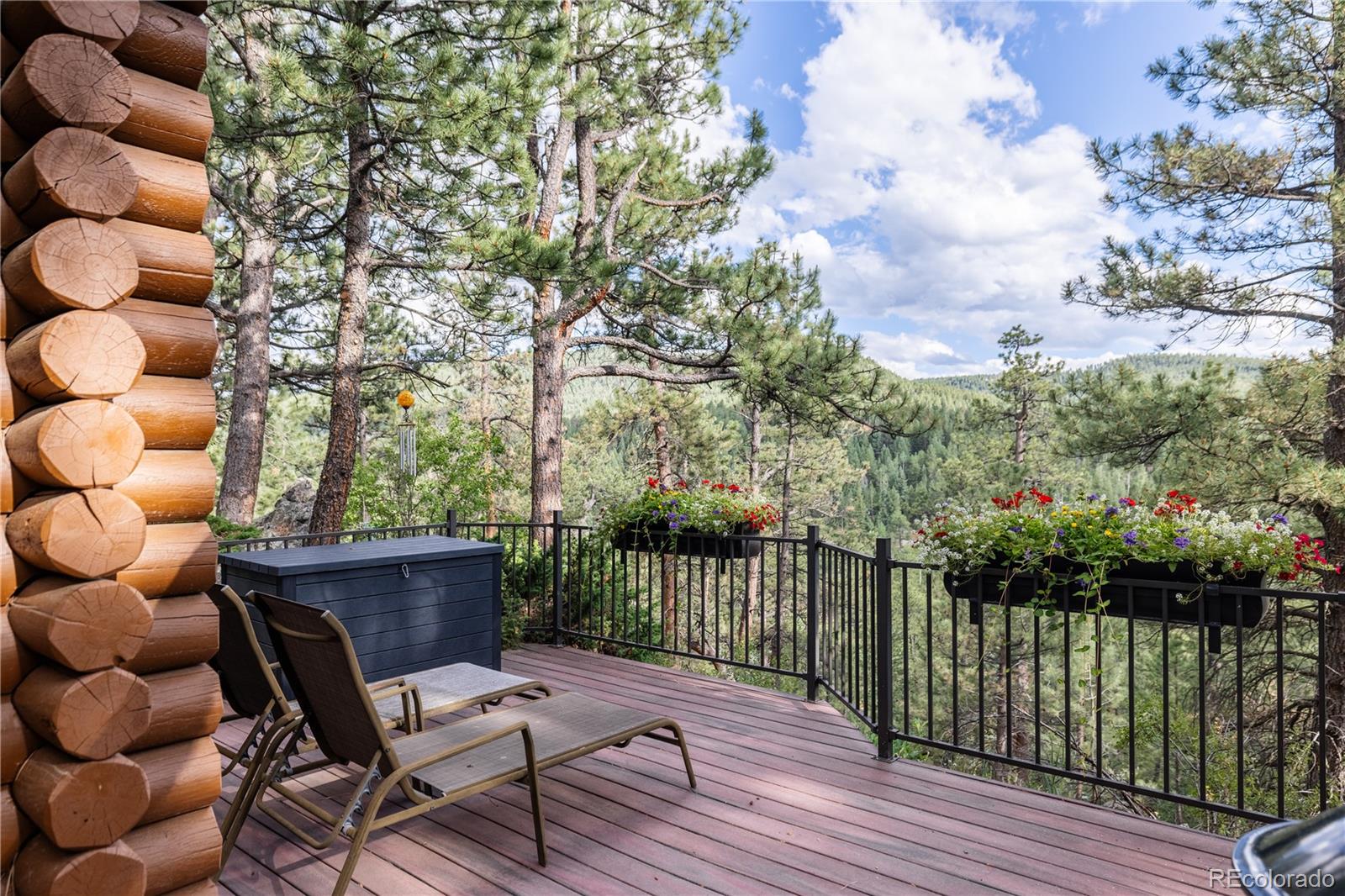 MLS Image #35 for 222  greystone road,evergreen, Colorado