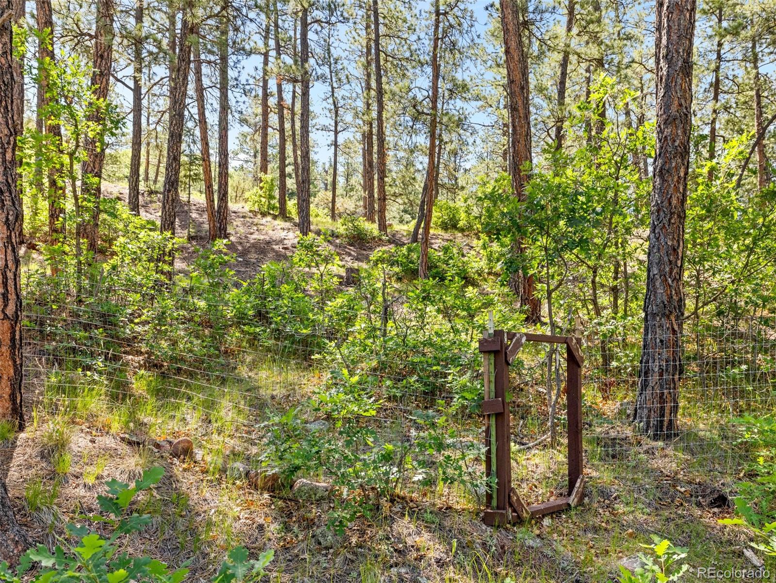 MLS Image #11 for 8930 s pine drive,beulah, Colorado