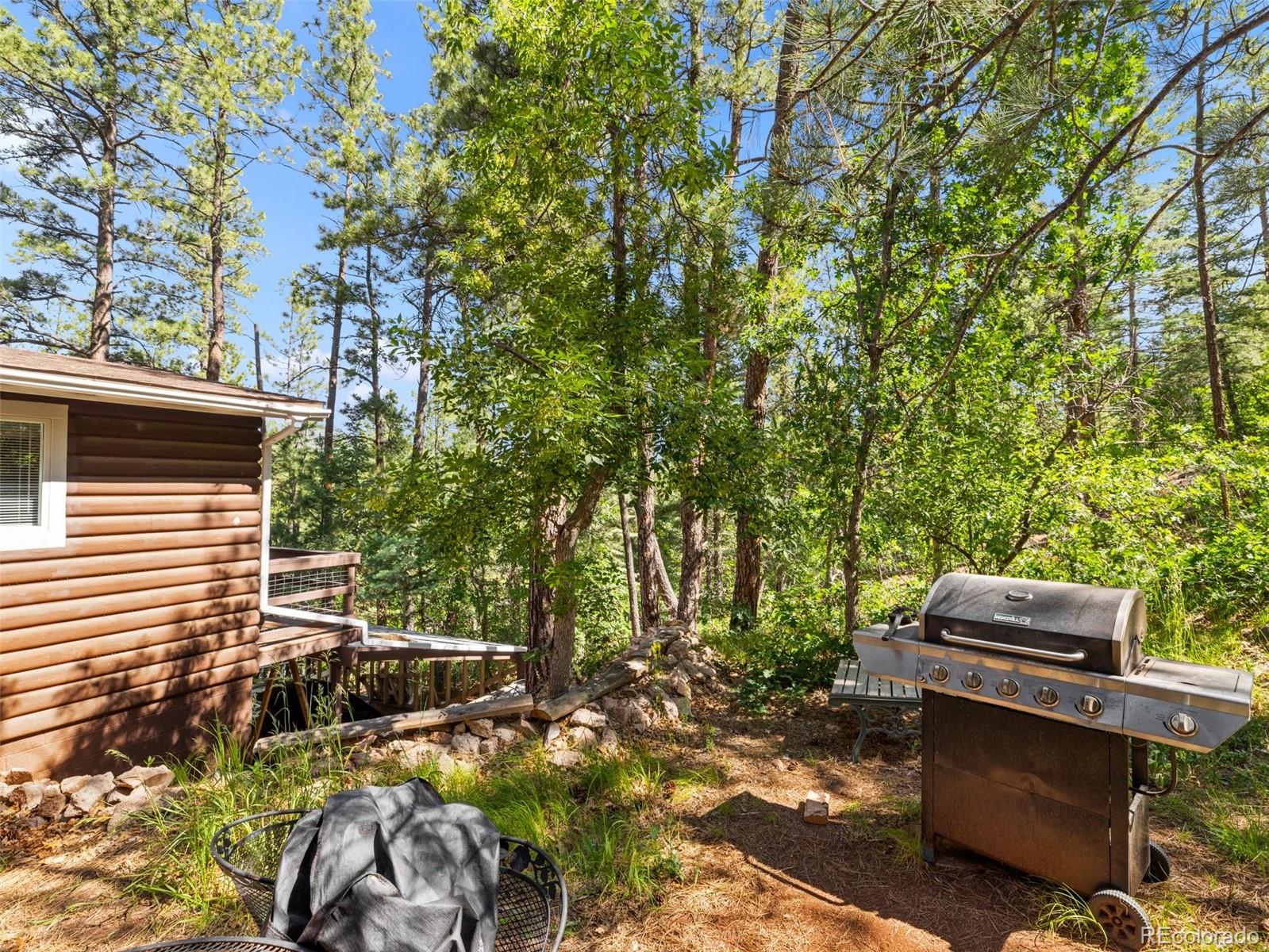 MLS Image #14 for 8930 s pine drive,beulah, Colorado