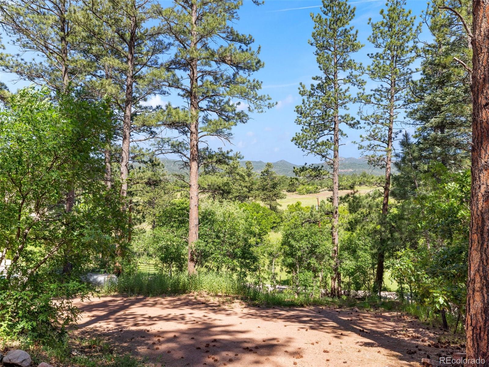 MLS Image #4 for 8930 s pine drive,beulah, Colorado