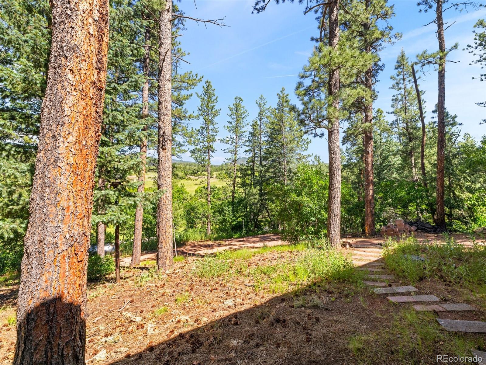 MLS Image #5 for 8930 s pine drive,beulah, Colorado