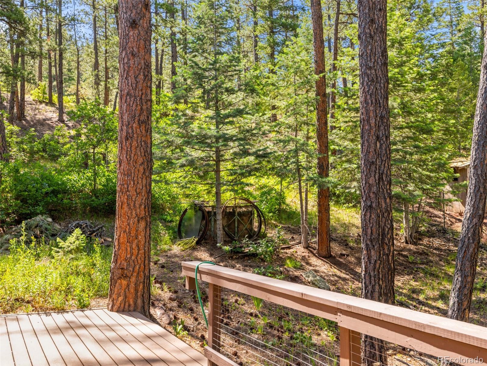 MLS Image #7 for 8930 s pine drive,beulah, Colorado