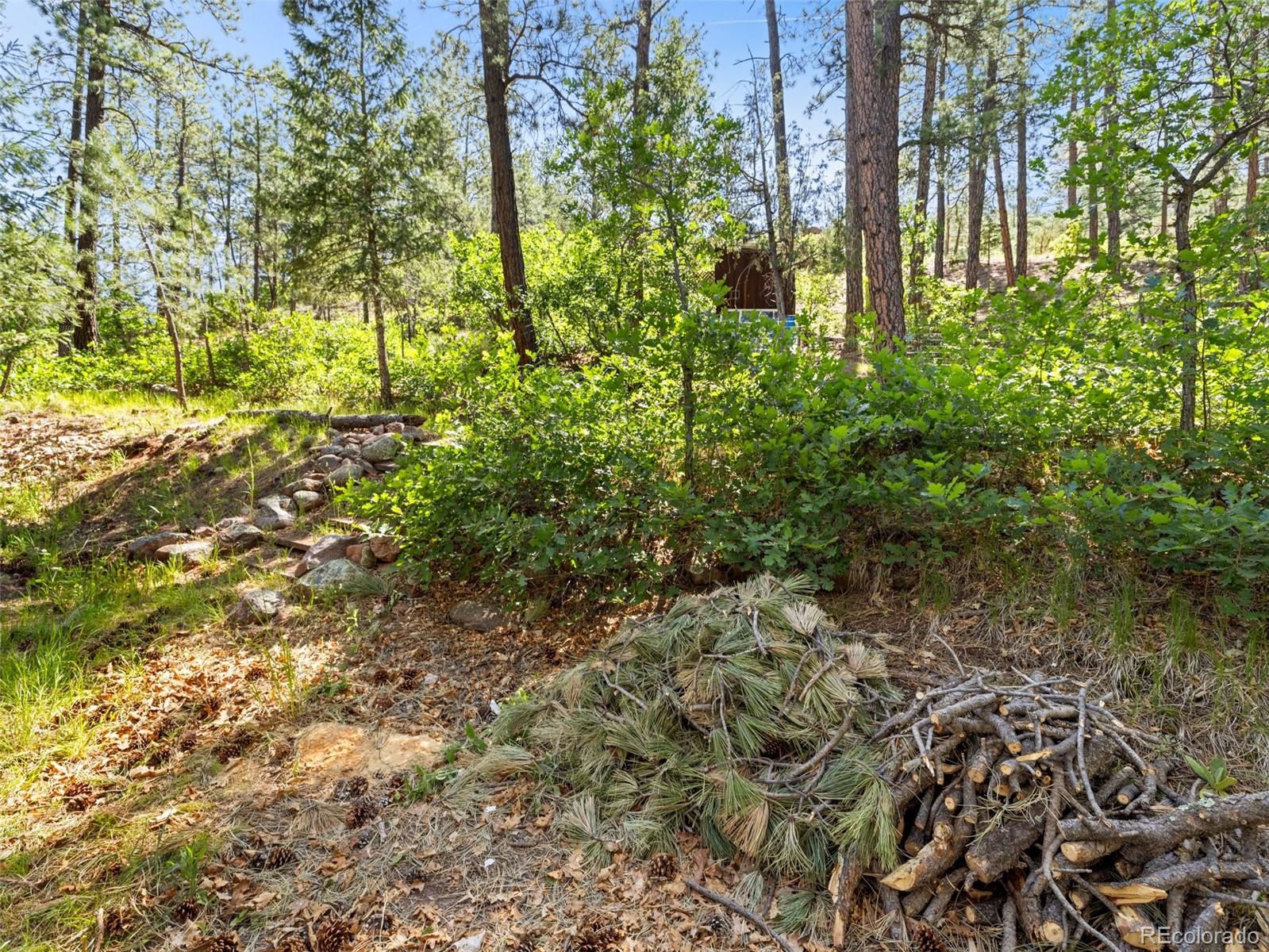 MLS Image #9 for 8930 s pine drive,beulah, Colorado