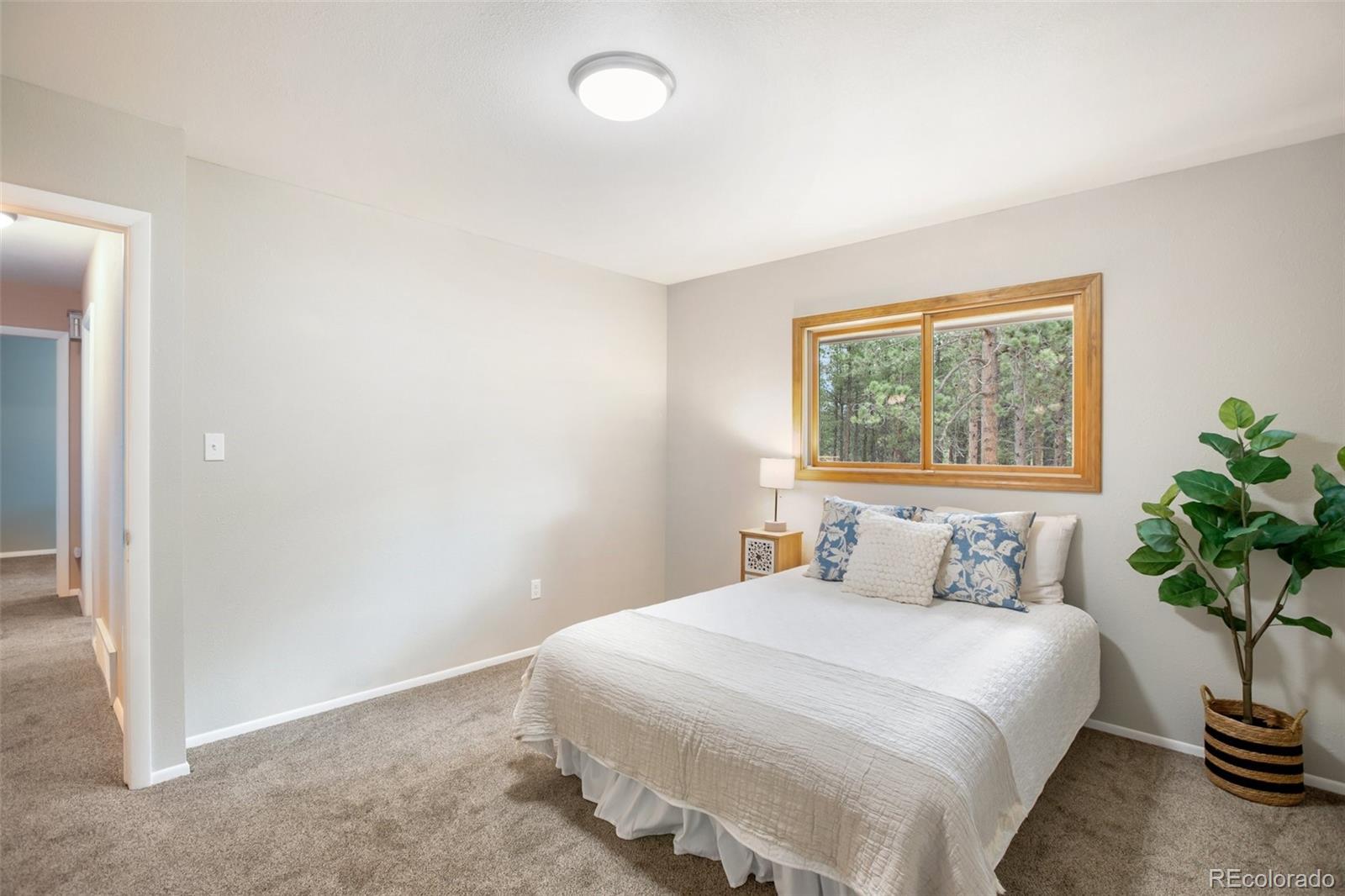 MLS Image #13 for 2220  lee circle drive,woodland park, Colorado