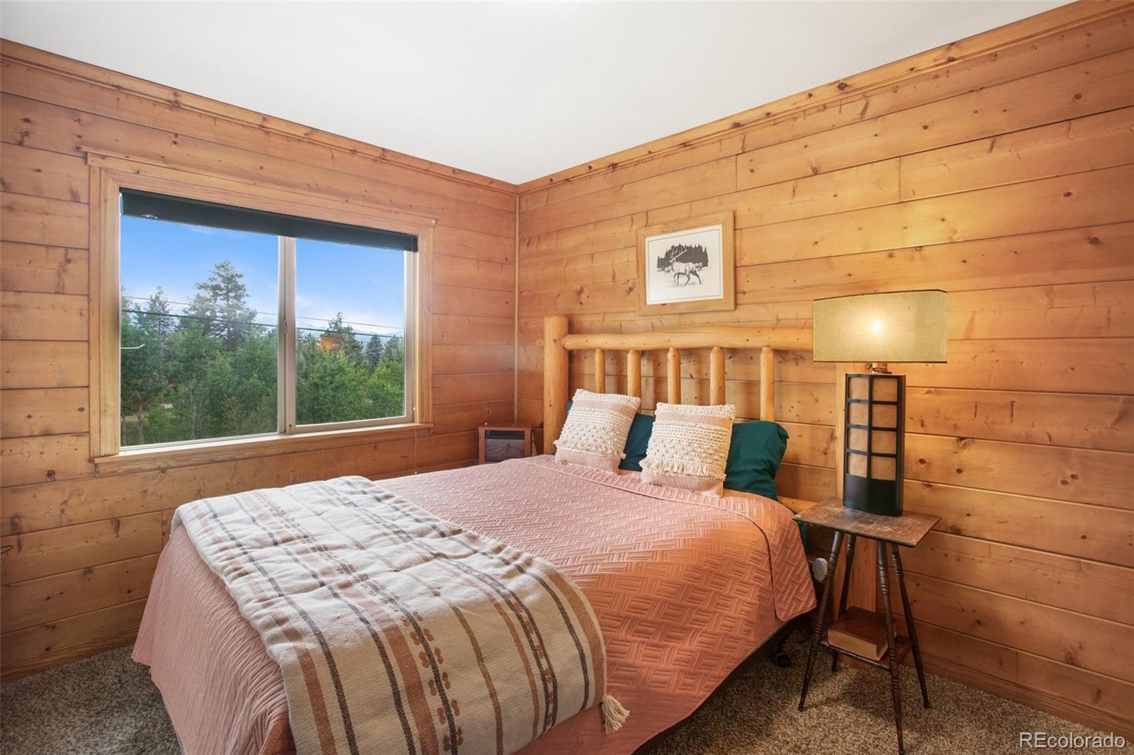 MLS Image #31 for 2220  lee circle drive,woodland park, Colorado