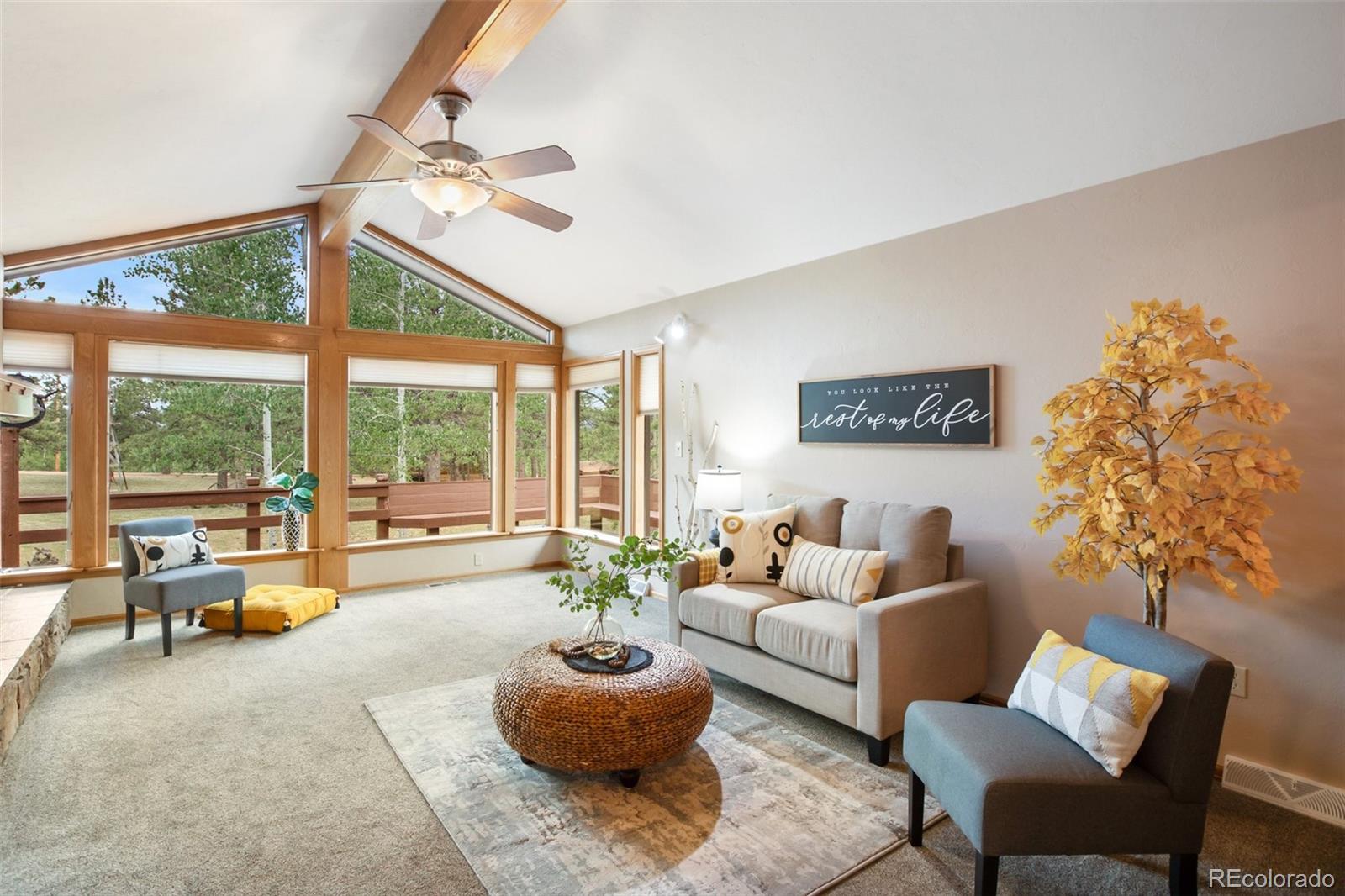 MLS Image #5 for 2220  lee circle drive,woodland park, Colorado